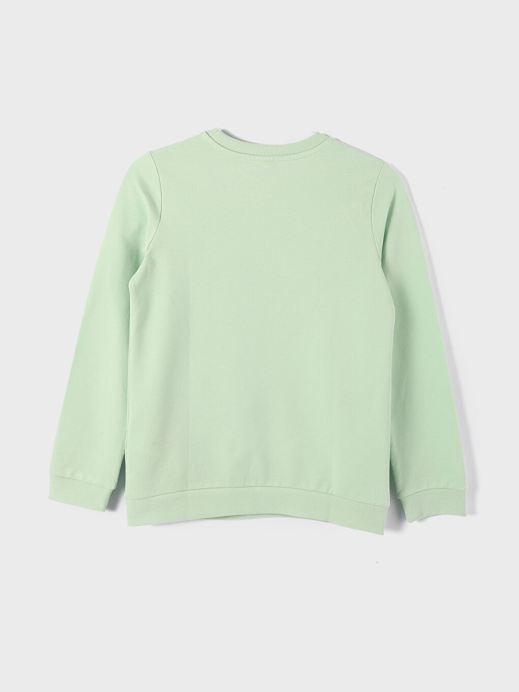 Crew Neck Long Sleeve Printed Girls' Sweatshirt-1