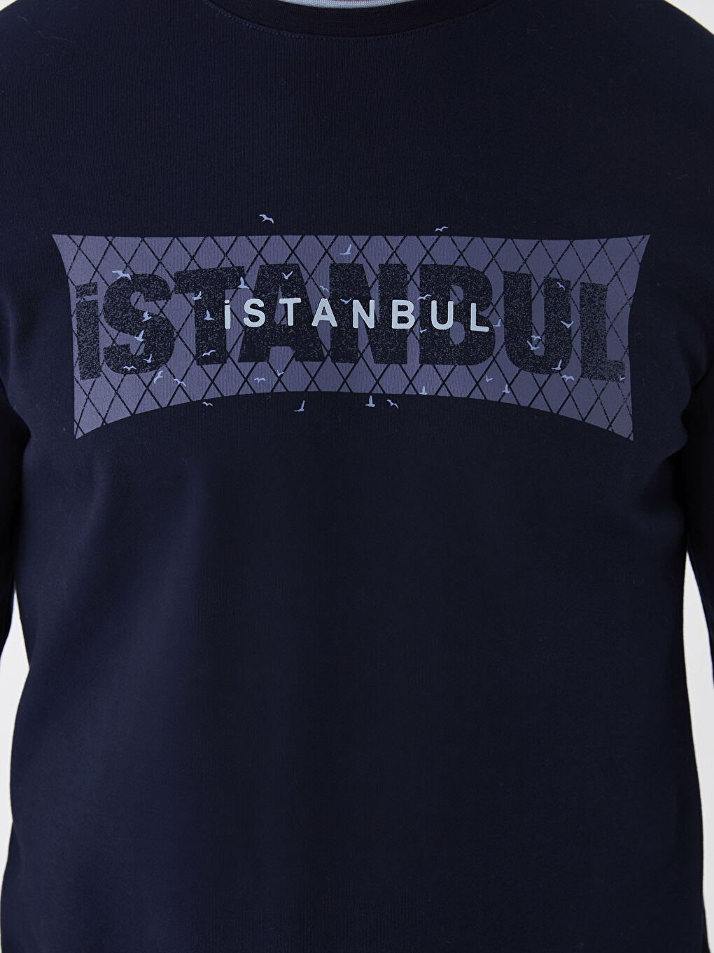 Lacivert Bisiklet Yaka Uzun Kollu Baskılı Erkek Sweatshirt-3