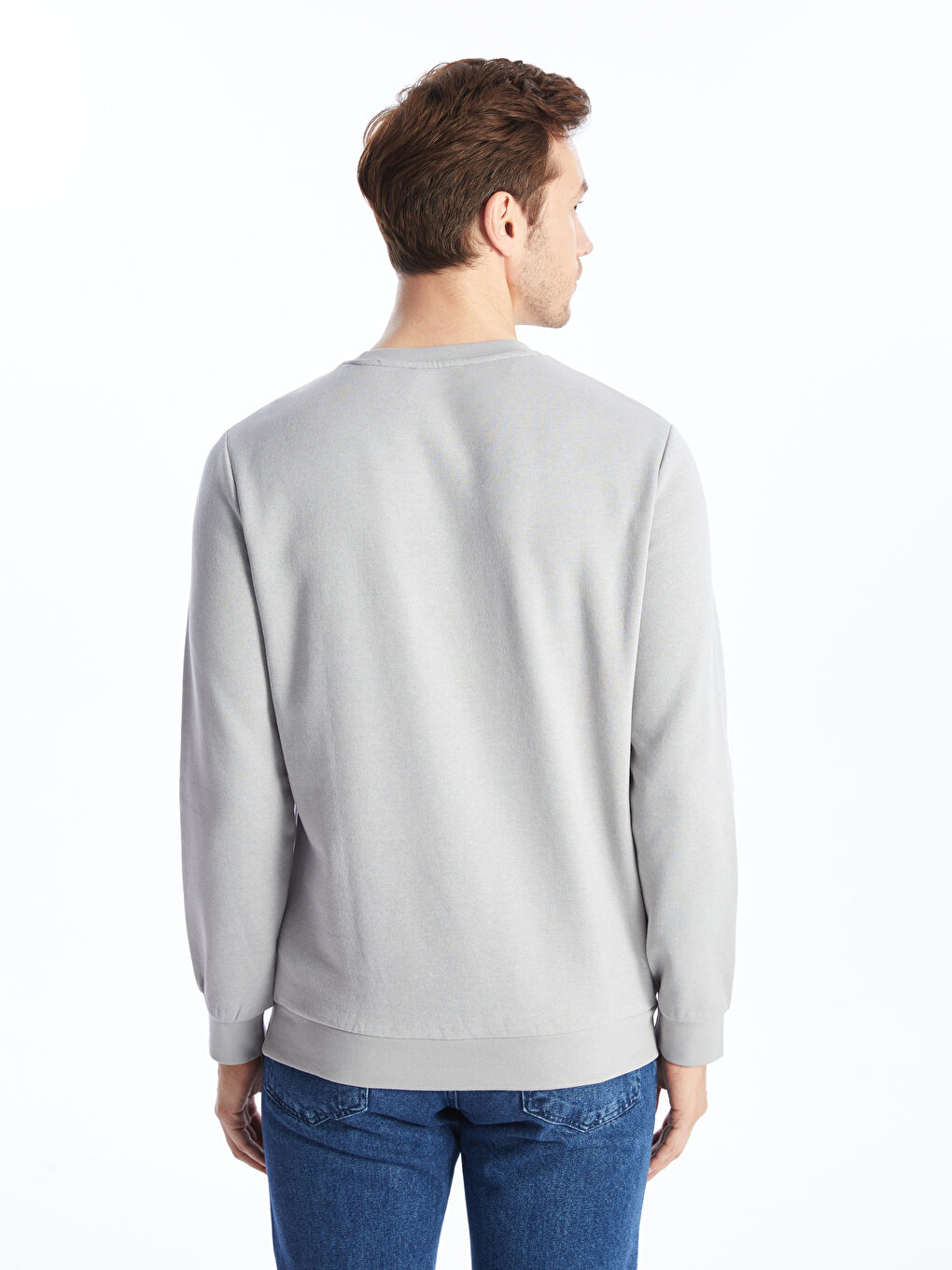 Crew Neck Printed Men's Thick Sweatshirt-4