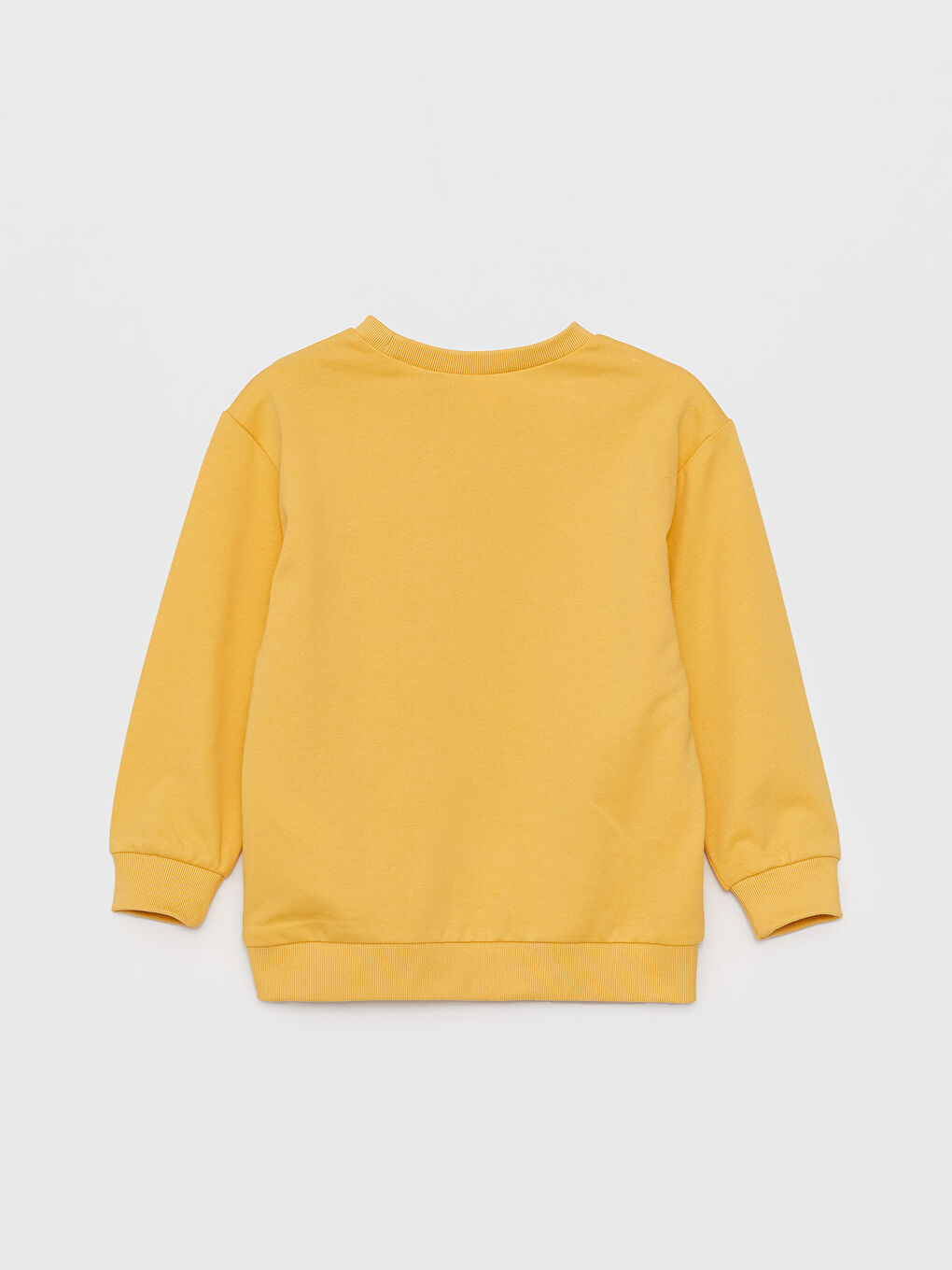 Crew Neck Long Sleeve Looney Tunes Printed Baby Boy Sweatshirt-1