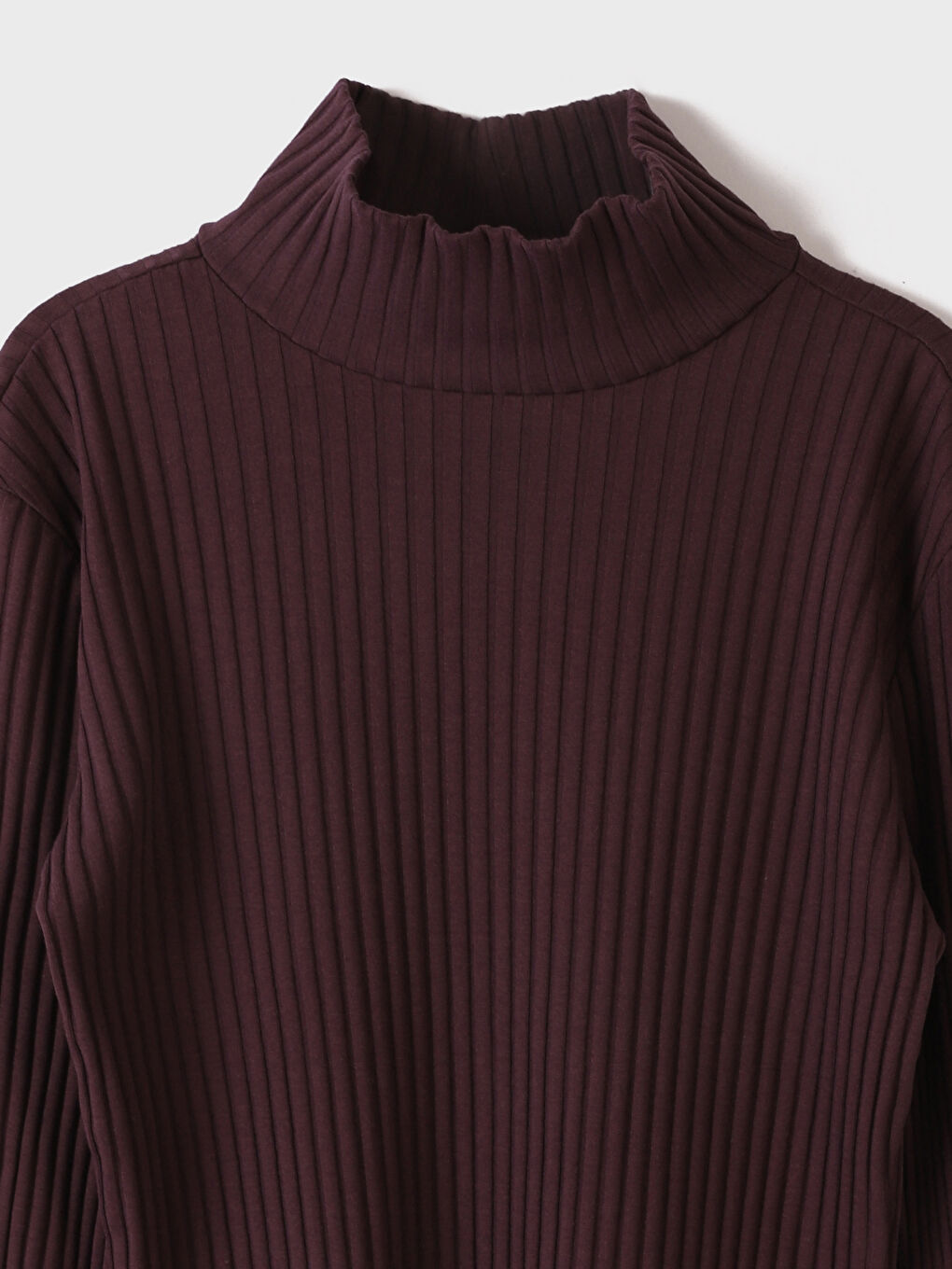 Mürdüm Balıkçı Yaka Düz Uzun Kollu Kadın Tişört-1