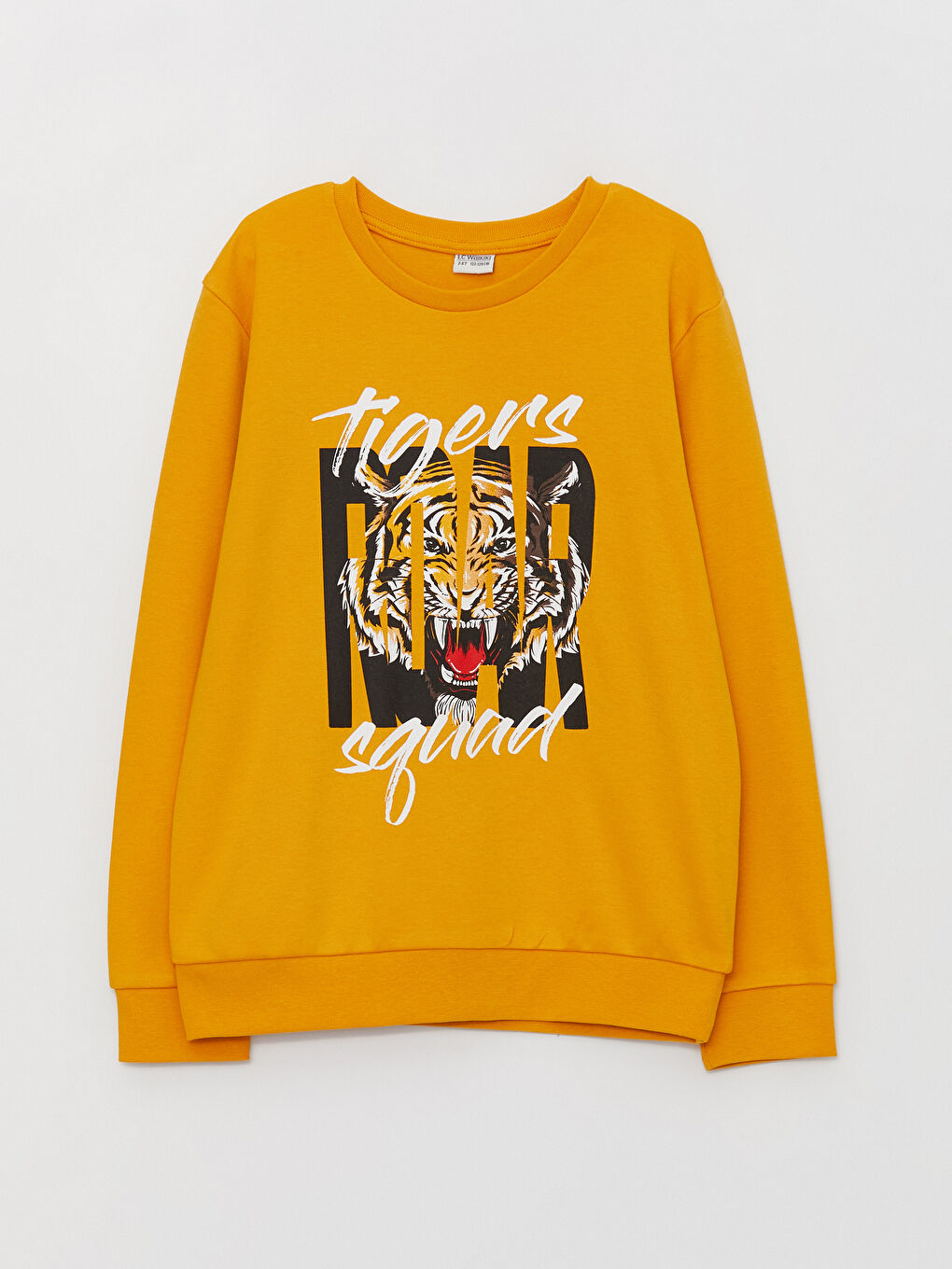 Crew Neck Printed Long Sleeve Boys' T-Shirt