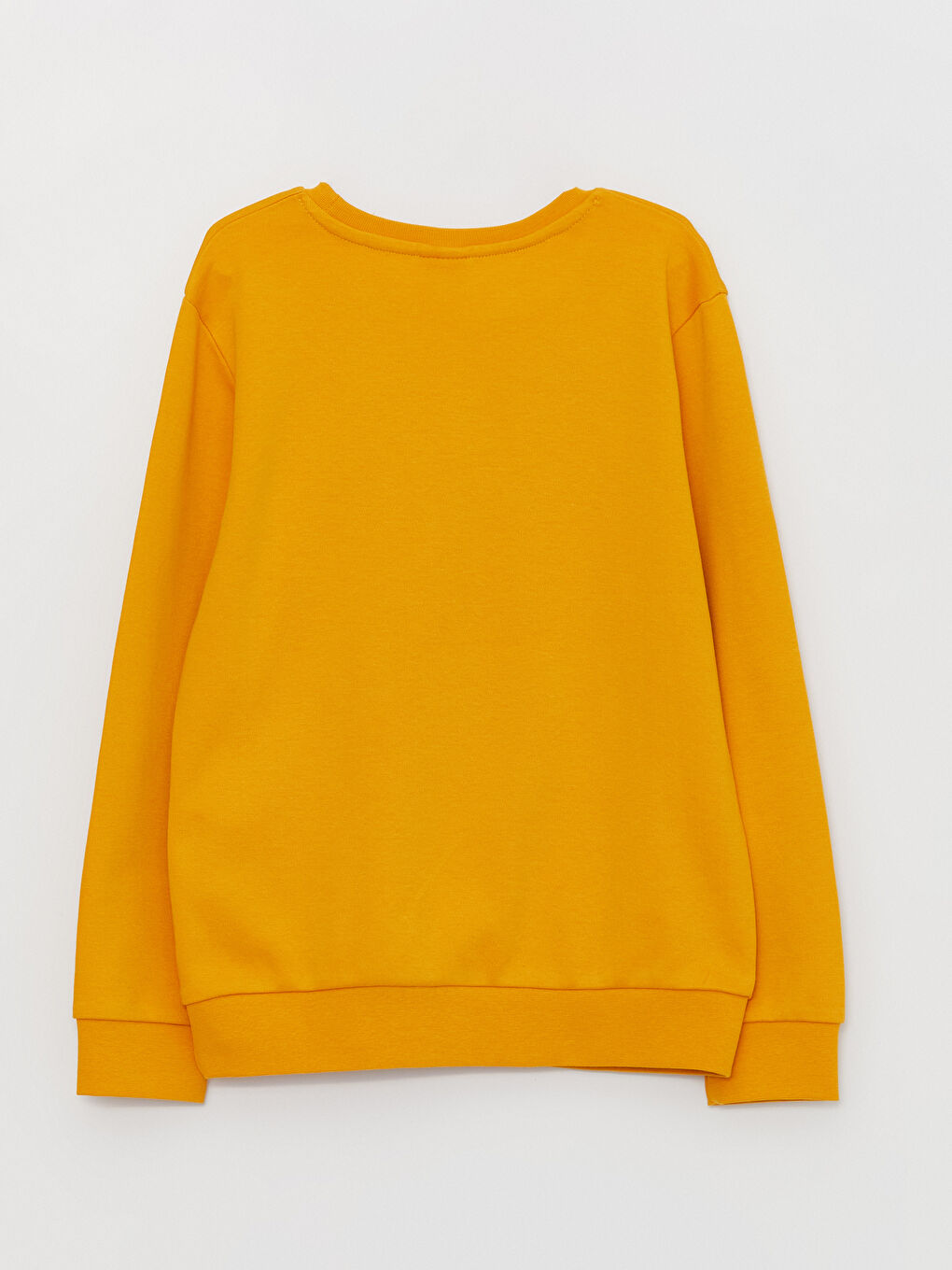 Crew Neck Printed Long Sleeve Boys' T-Shirt-2