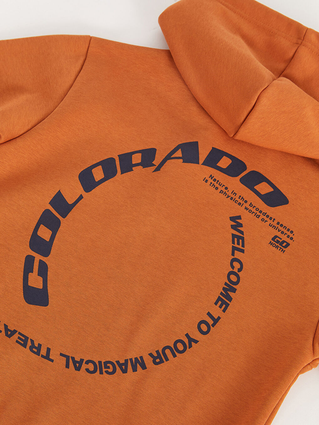 Relaxed Fit Printed Boys' Hoodie-5