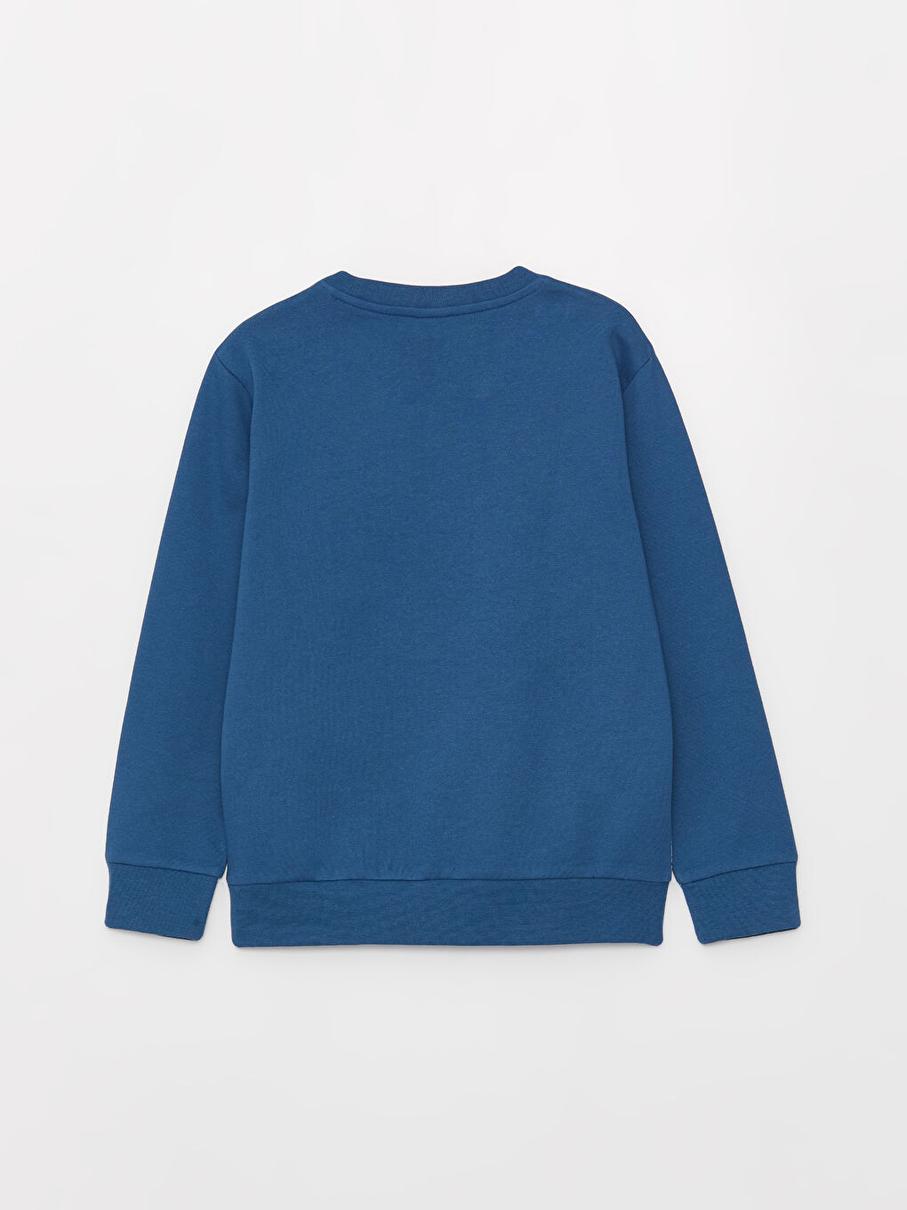 Crew Neck Bear Teddy Printed Boys' Sweatshirt-1