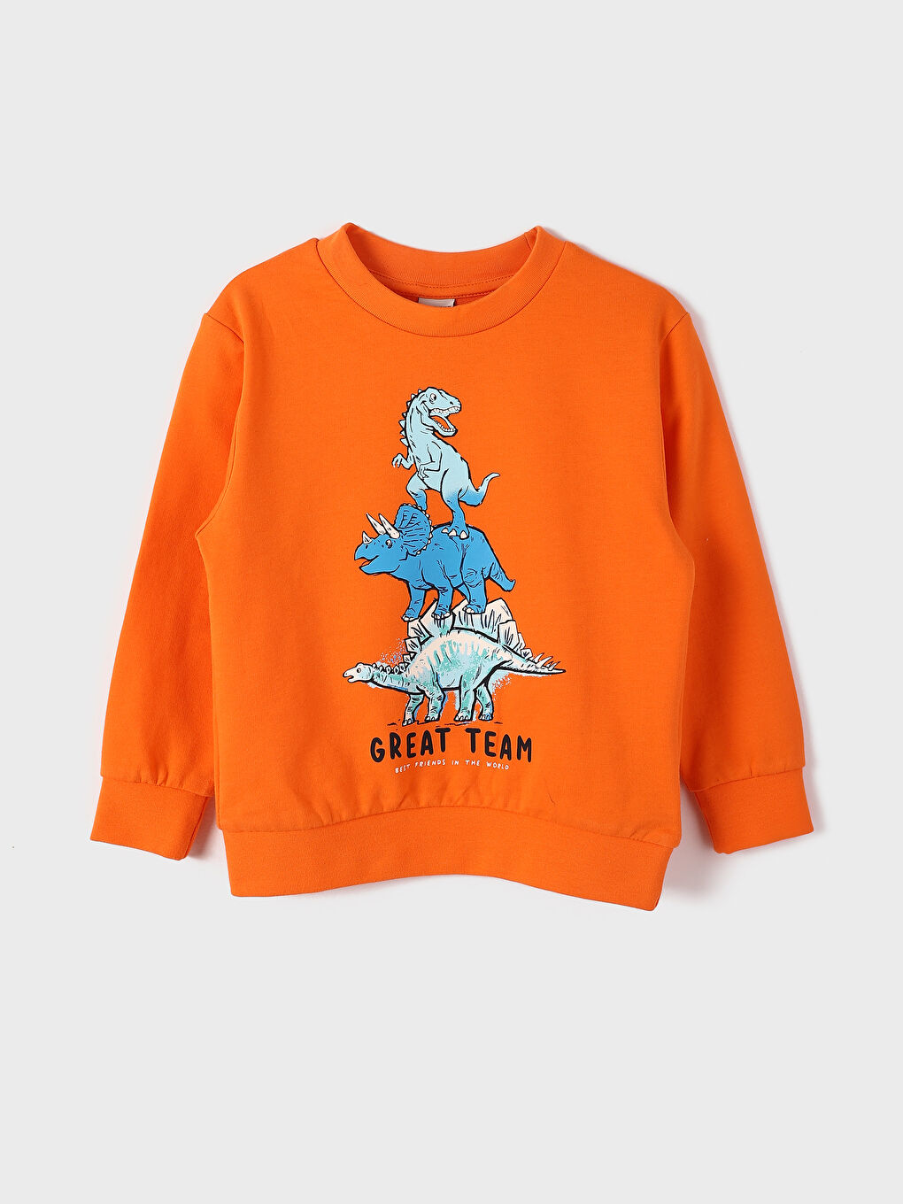 Crew Neck Printed Long Sleeve Boys' Sweatshirt