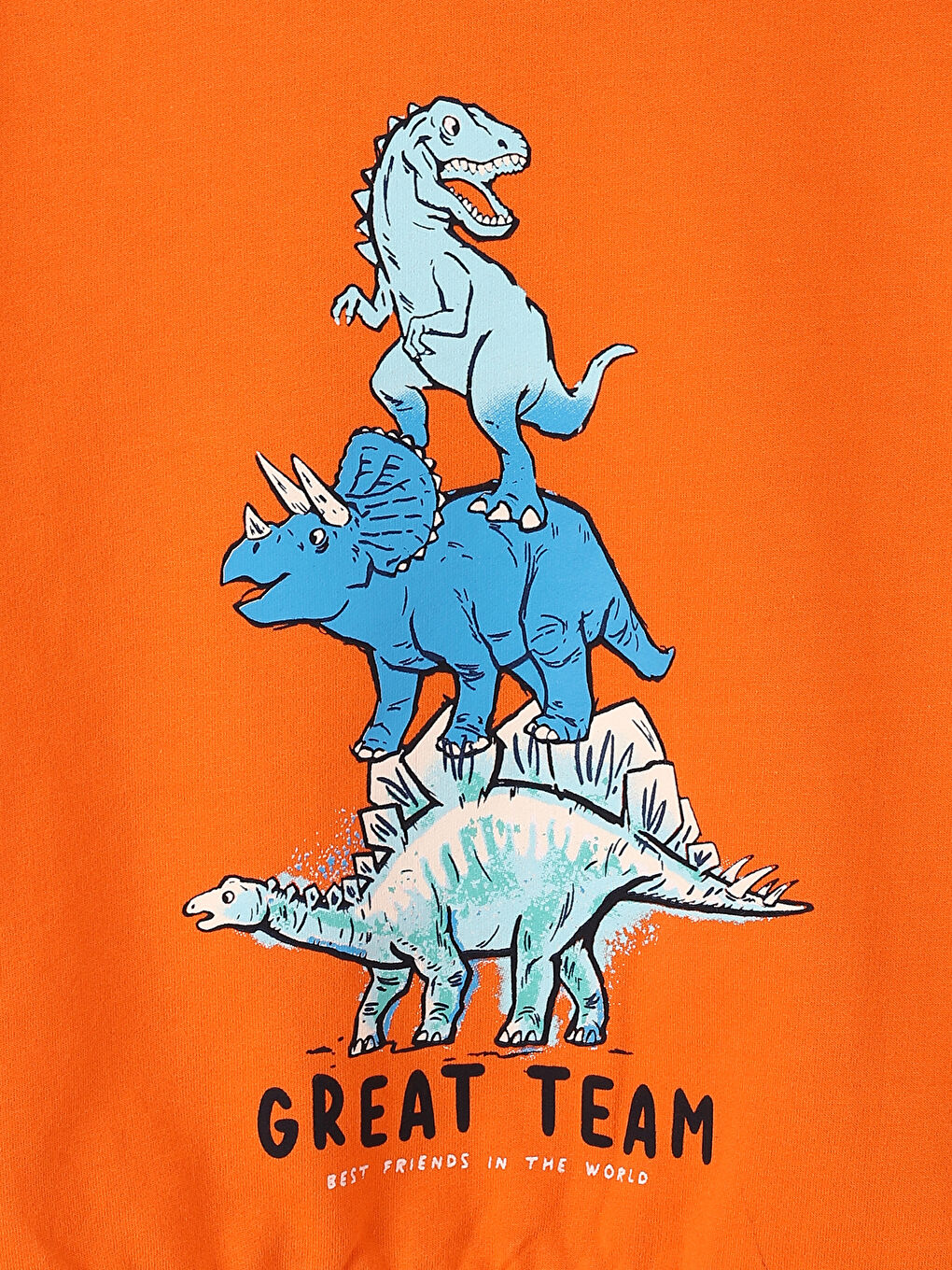 Crew Neck Printed Long Sleeve Boys' Sweatshirt-2