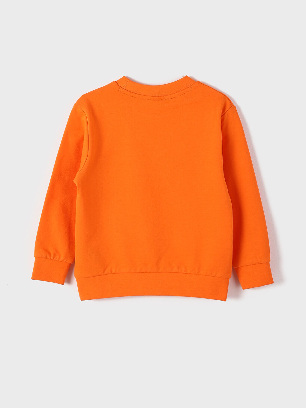 Crew Neck Printed Long Sleeve Boys' Sweatshirt-3