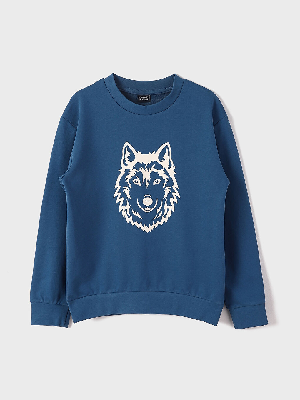 Crew Neck Printed Long Sleeve Boys' Sweatshirt
