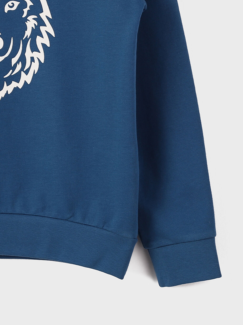 Crew Neck Printed Long Sleeve Boys' Sweatshirt-1
