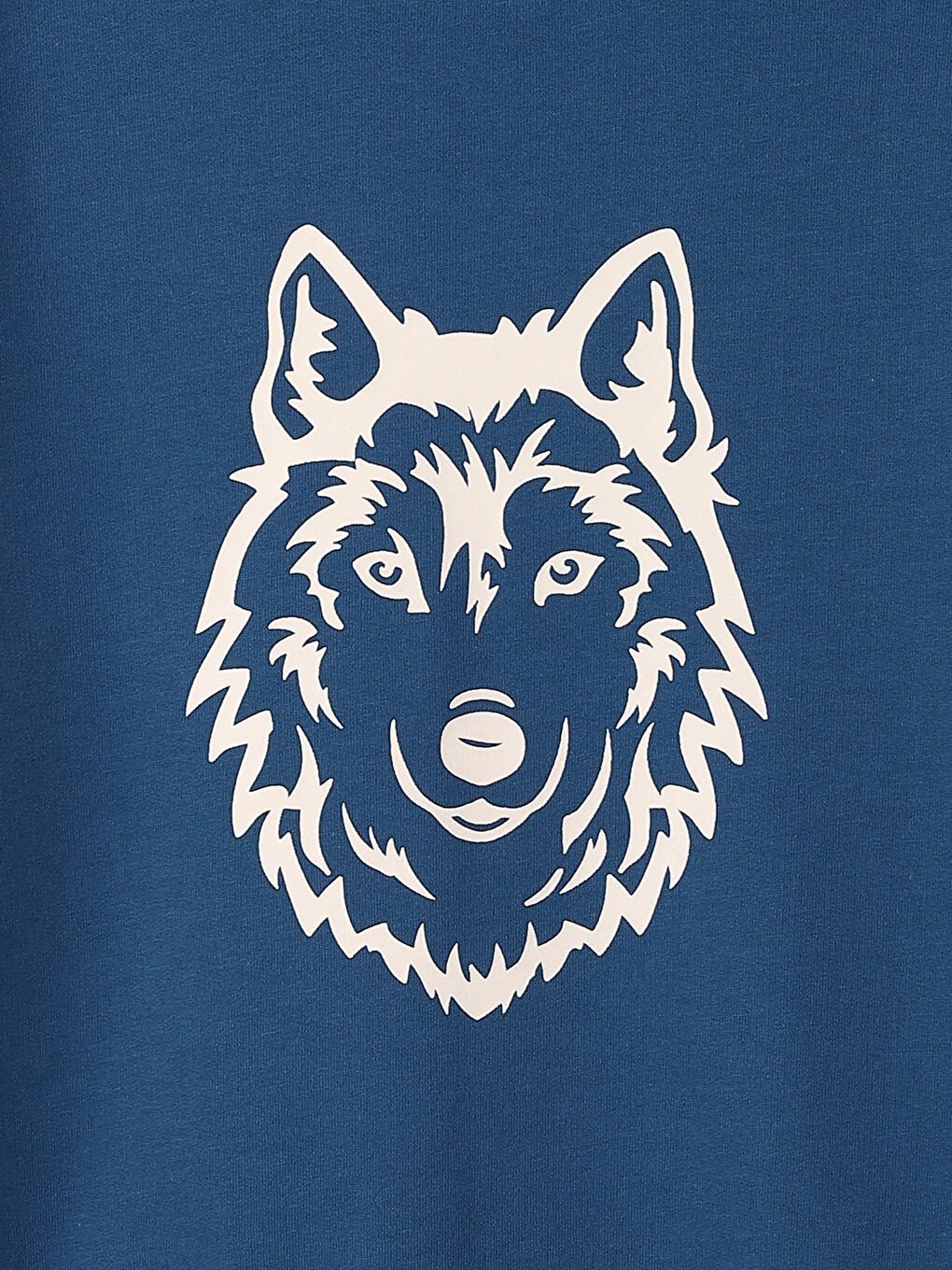 Crew Neck Printed Long Sleeve Boys' Sweatshirt-2