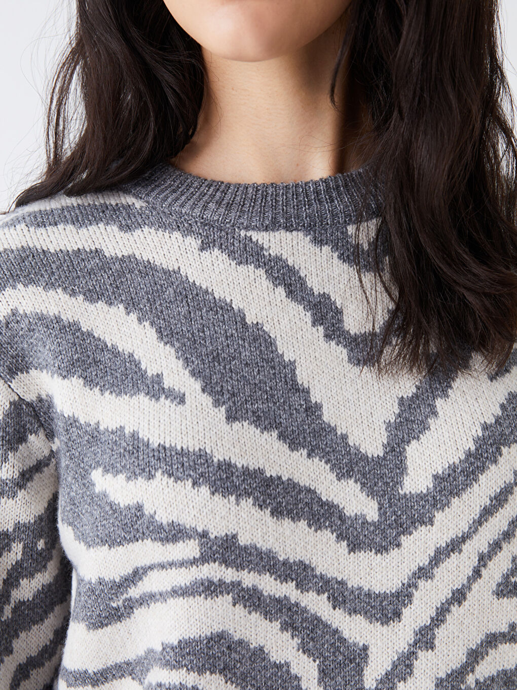 LCW Vision Rundhalsausschnitt Gemustert Langarm Damen Strickpullover -W3CK10Z8-R9J