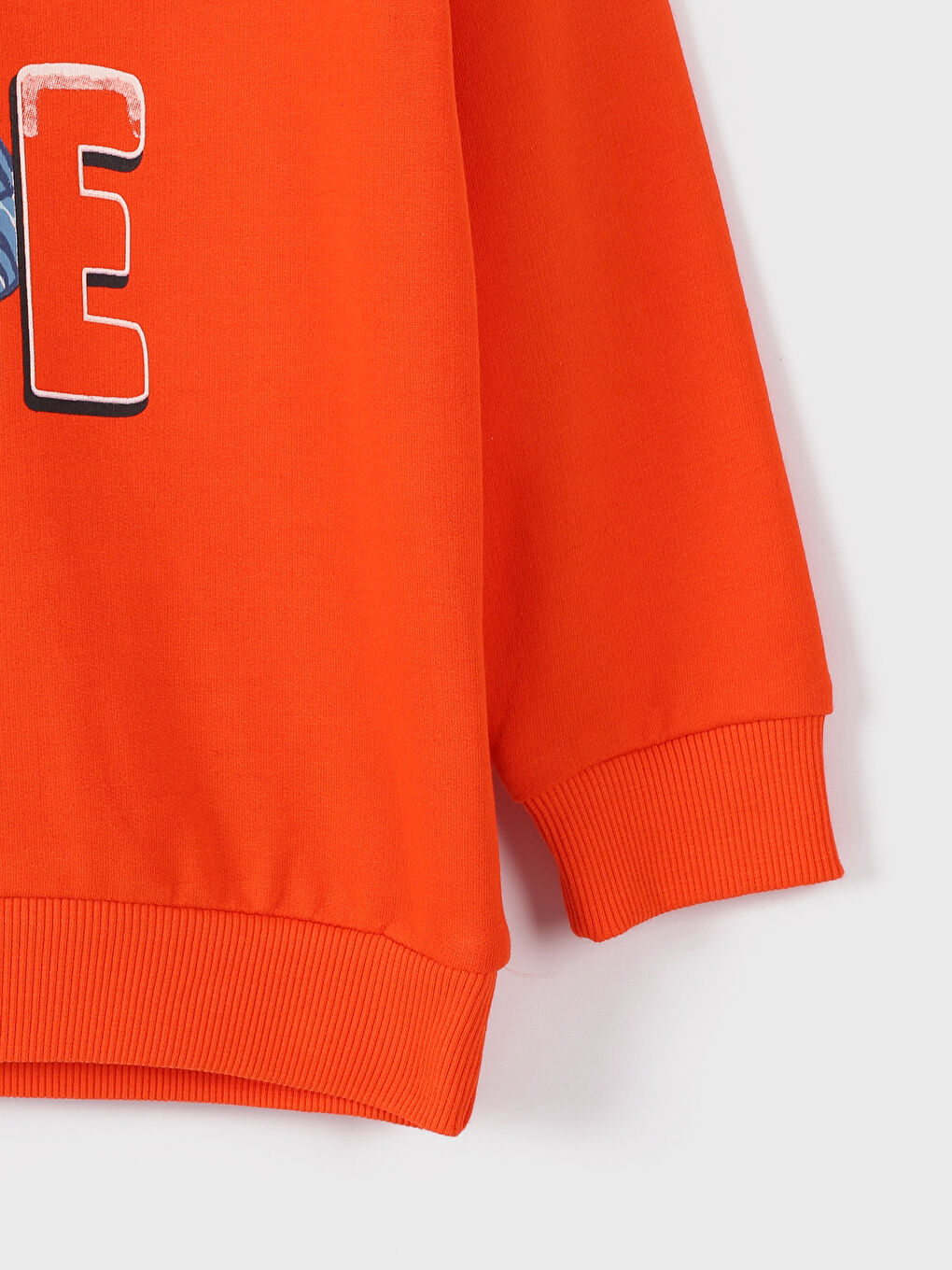 Hooded Bear Teddy Printed Boys' Sweatshirt-1