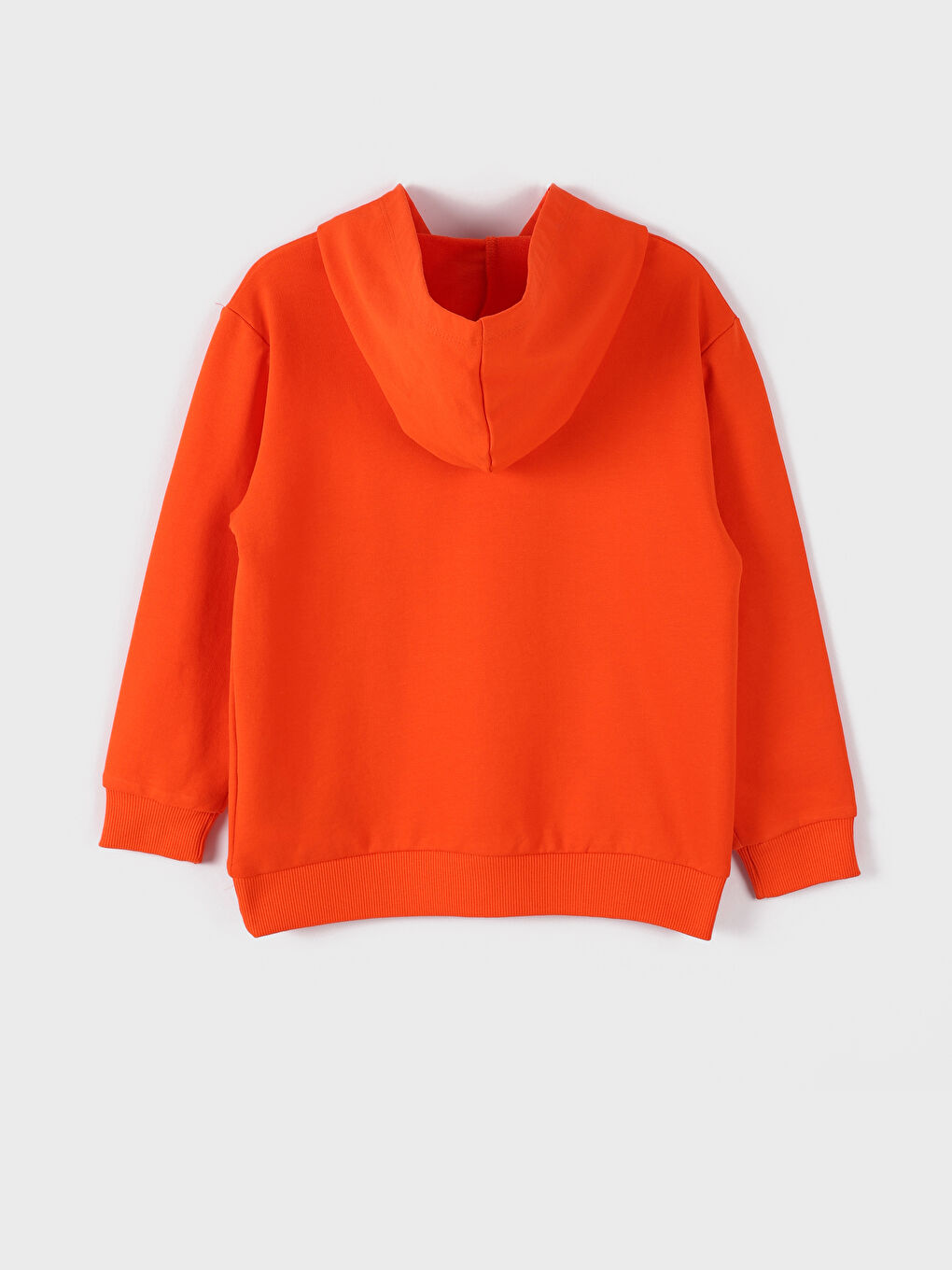 Hooded Bear Teddy Printed Boys' Sweatshirt-3