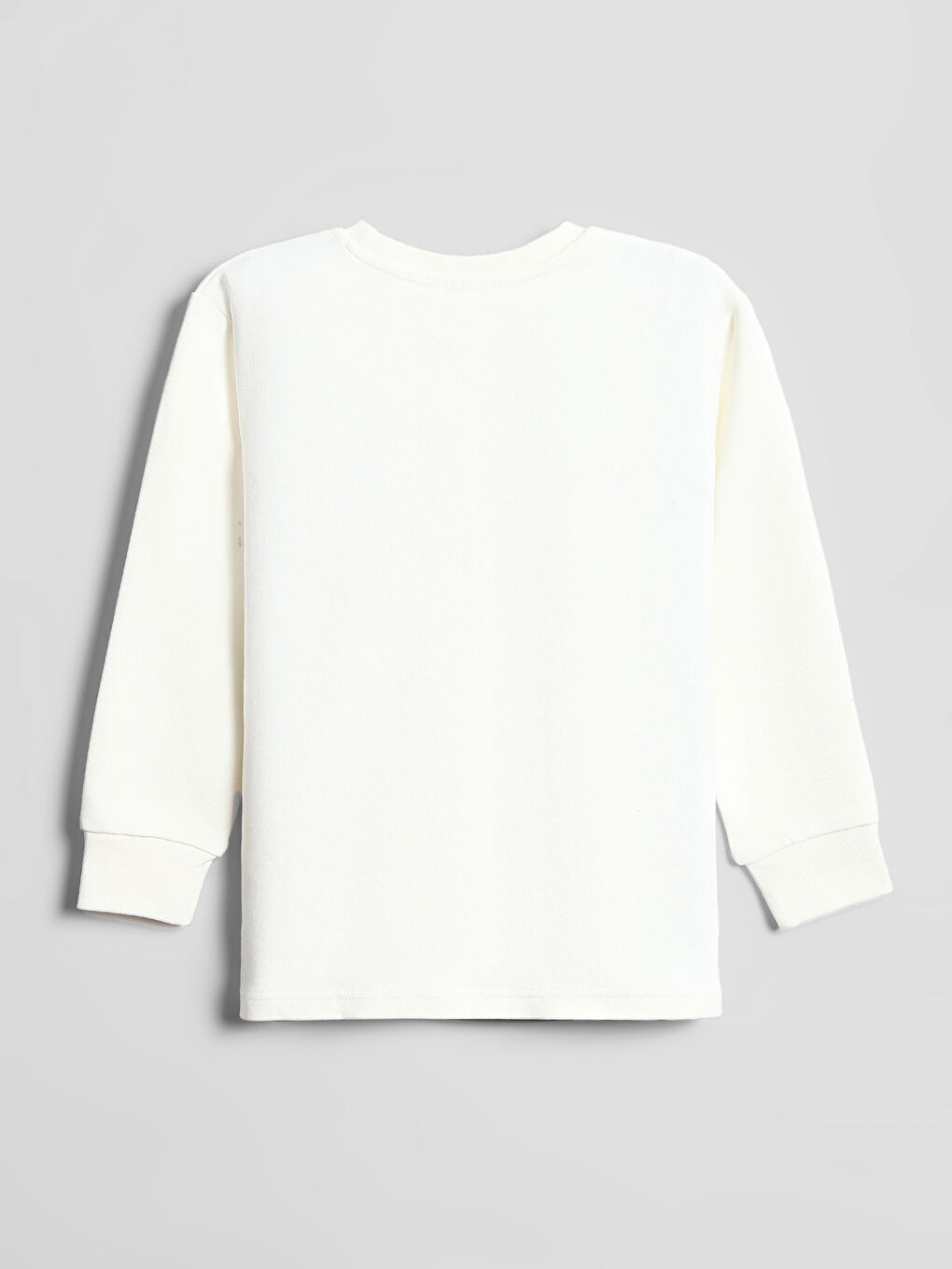 Crew Neck Printed Long Sleeve Boys' T-Shirt-1