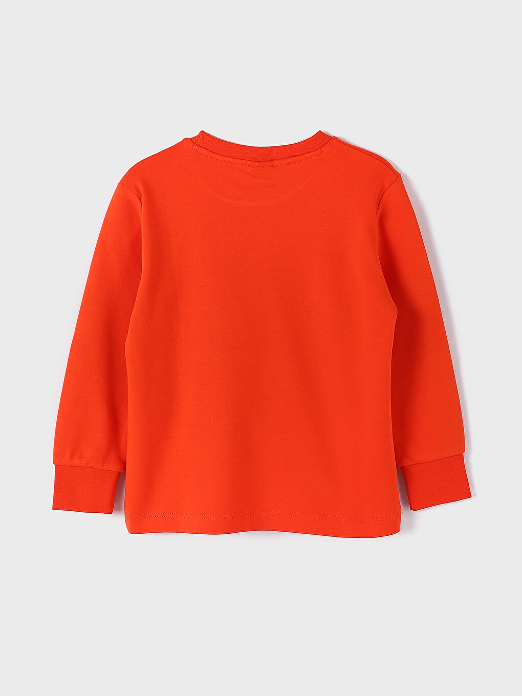 Crew Neck Bear Teddy Printed Boys' T-Shirt-1