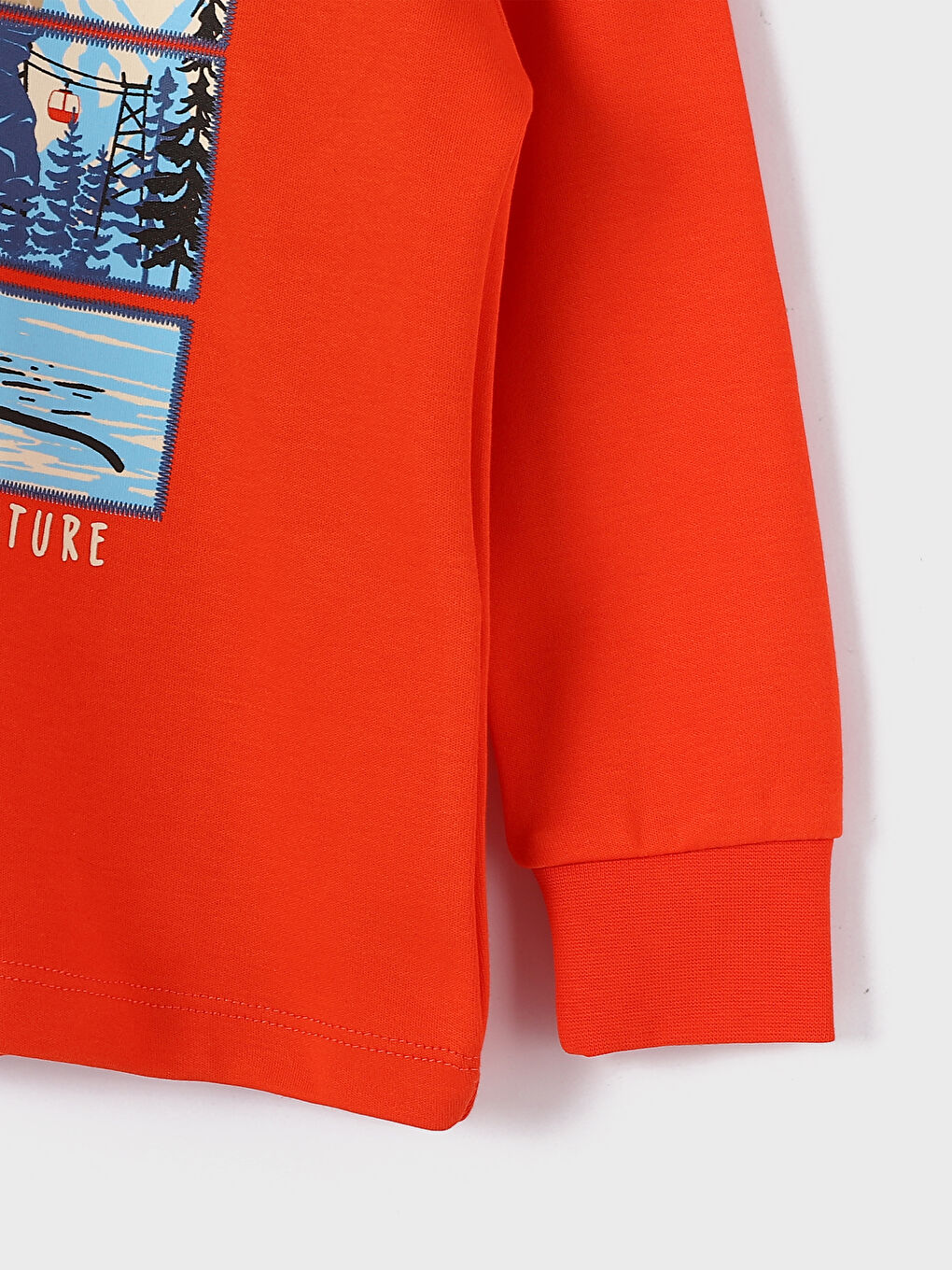 Crew Neck Bear Teddy Printed Boys' T-Shirt-3