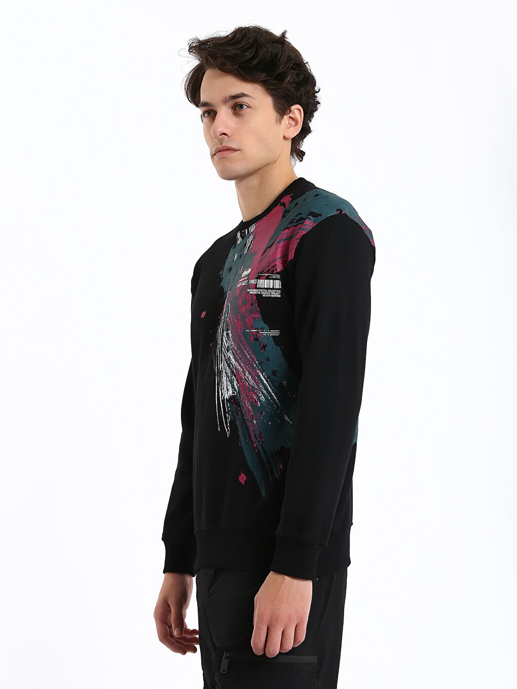 Crew Neck Printed Men's Thick Sweatshirt-6