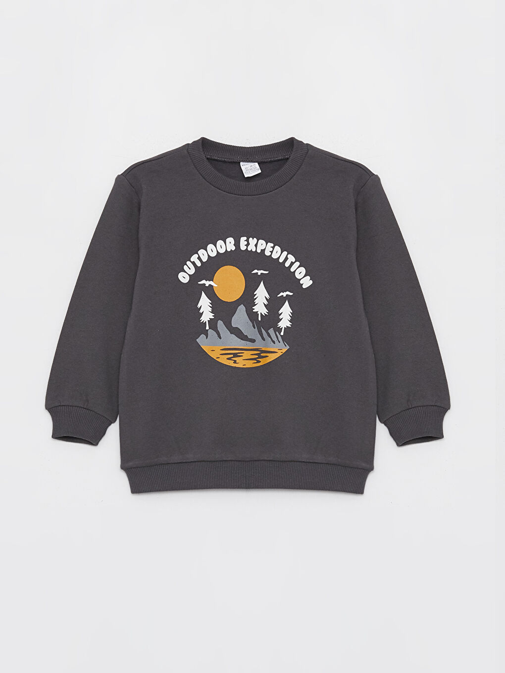 LCW baby Antrasit Bisiklet Yaka Uzun Kollu Baskılı Erkek Bebek Sweatshirt - 3