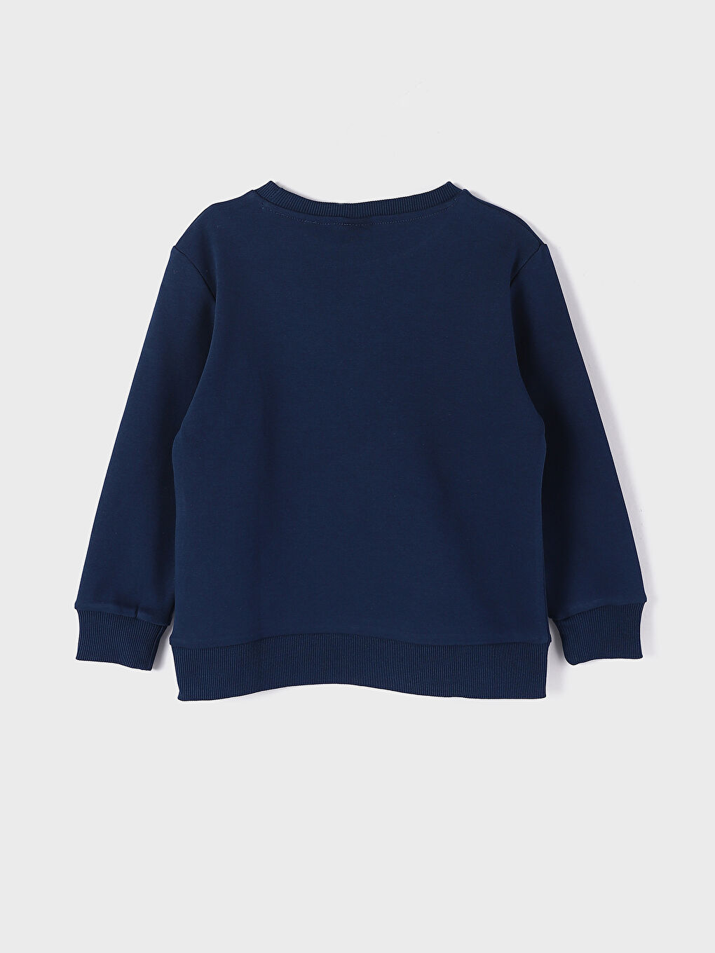 Crew Neck Printed Long Sleeve Boys' T-Shirt-1