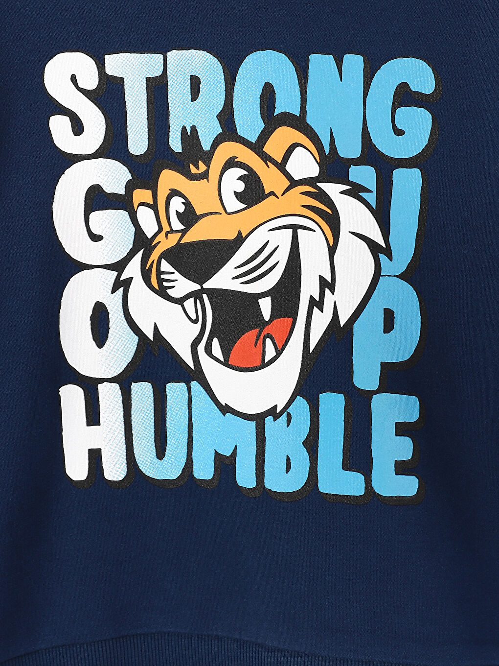 Crew Neck Printed Long Sleeve Boys' T-Shirt-2