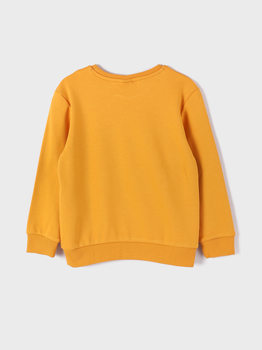 Crew Neck Printed Long Sleeve Boys' T-Shirt -W3DE78Z4-K99