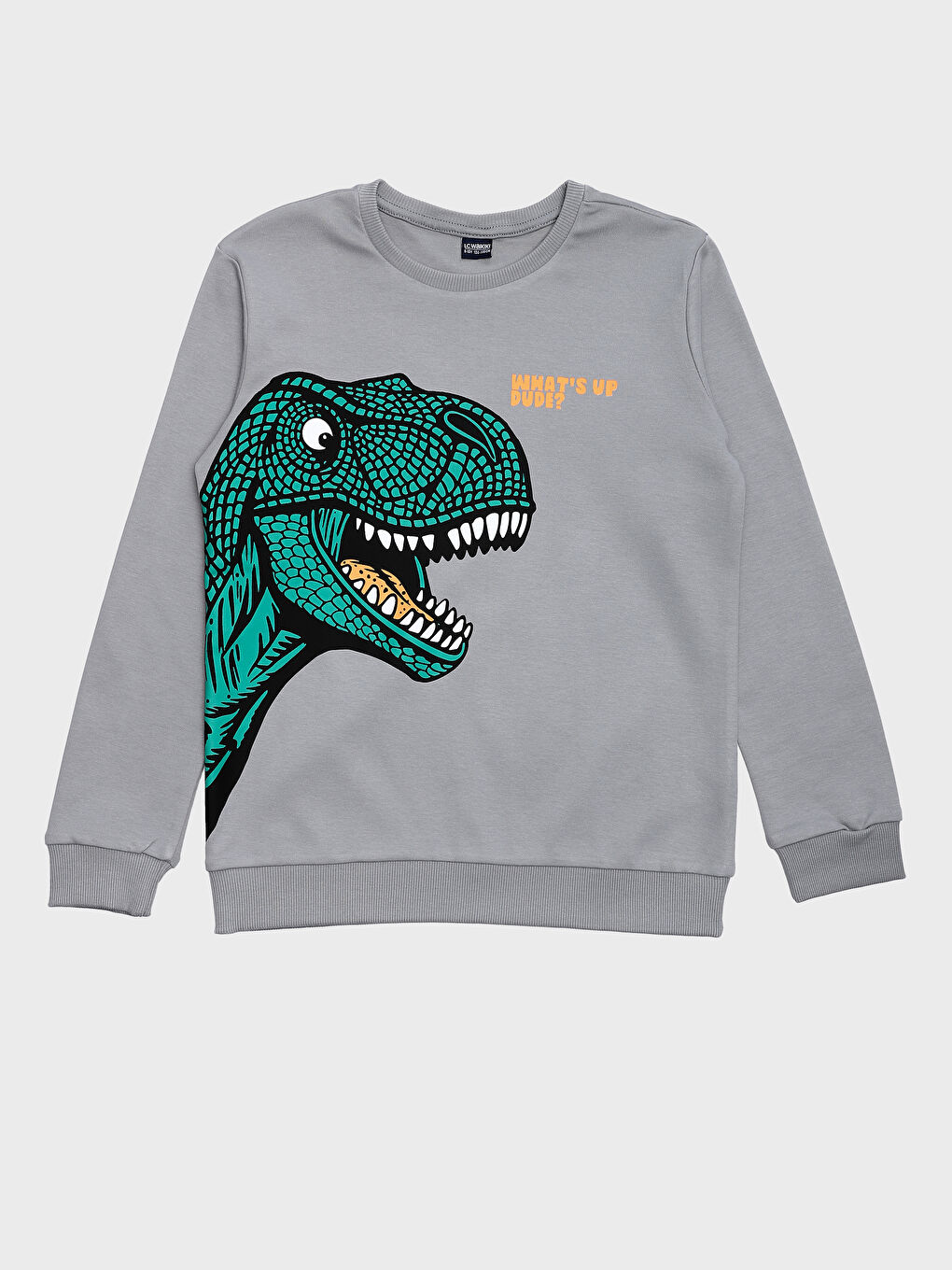 Crew Neck Printed Long Sleeve Boys' T-Shirt