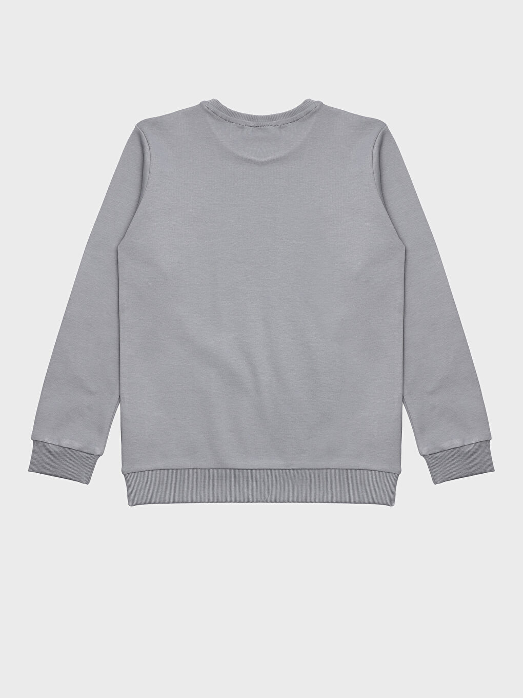 Crew Neck Printed Long Sleeve Boys' T-Shirt-1