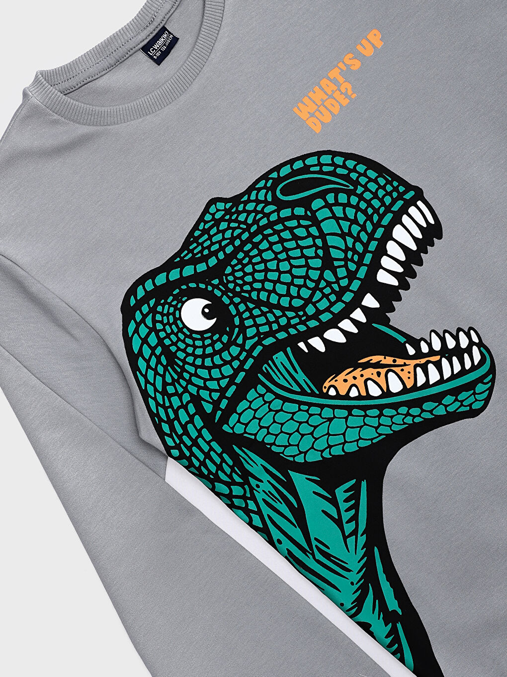 Crew Neck Printed Long Sleeve Boys' T-Shirt-2