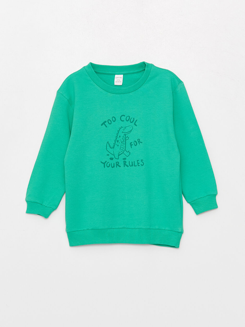 Crew Neck Baby Boys' Sweatshirt