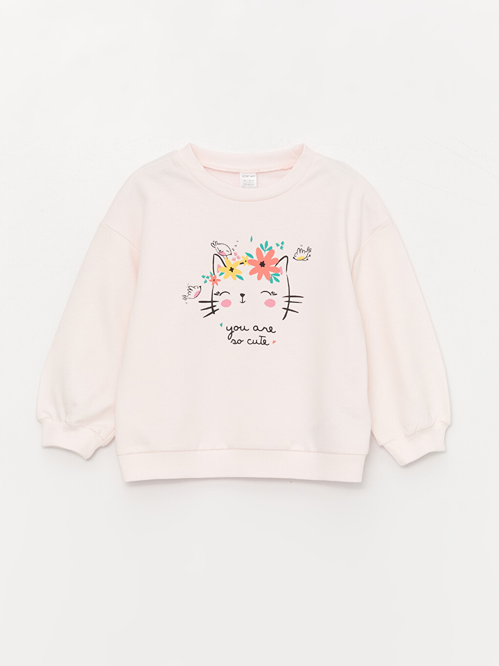 Crew Neck Long Sleeve Printed Baby Girls' Sweatshirt