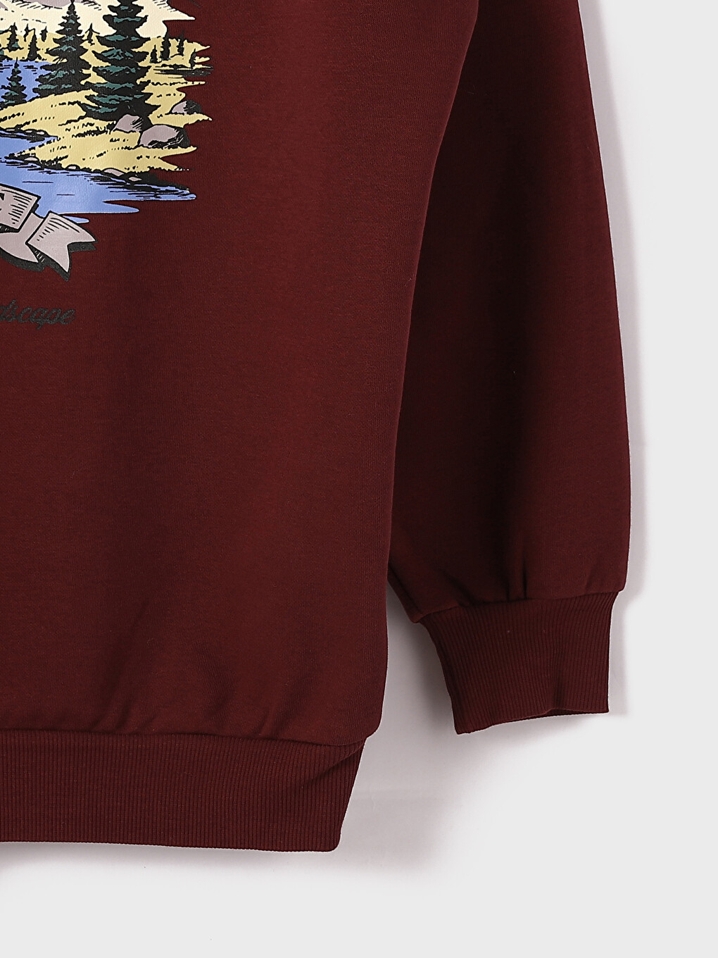 Printed Oversize Women's Thick Hoodie-3