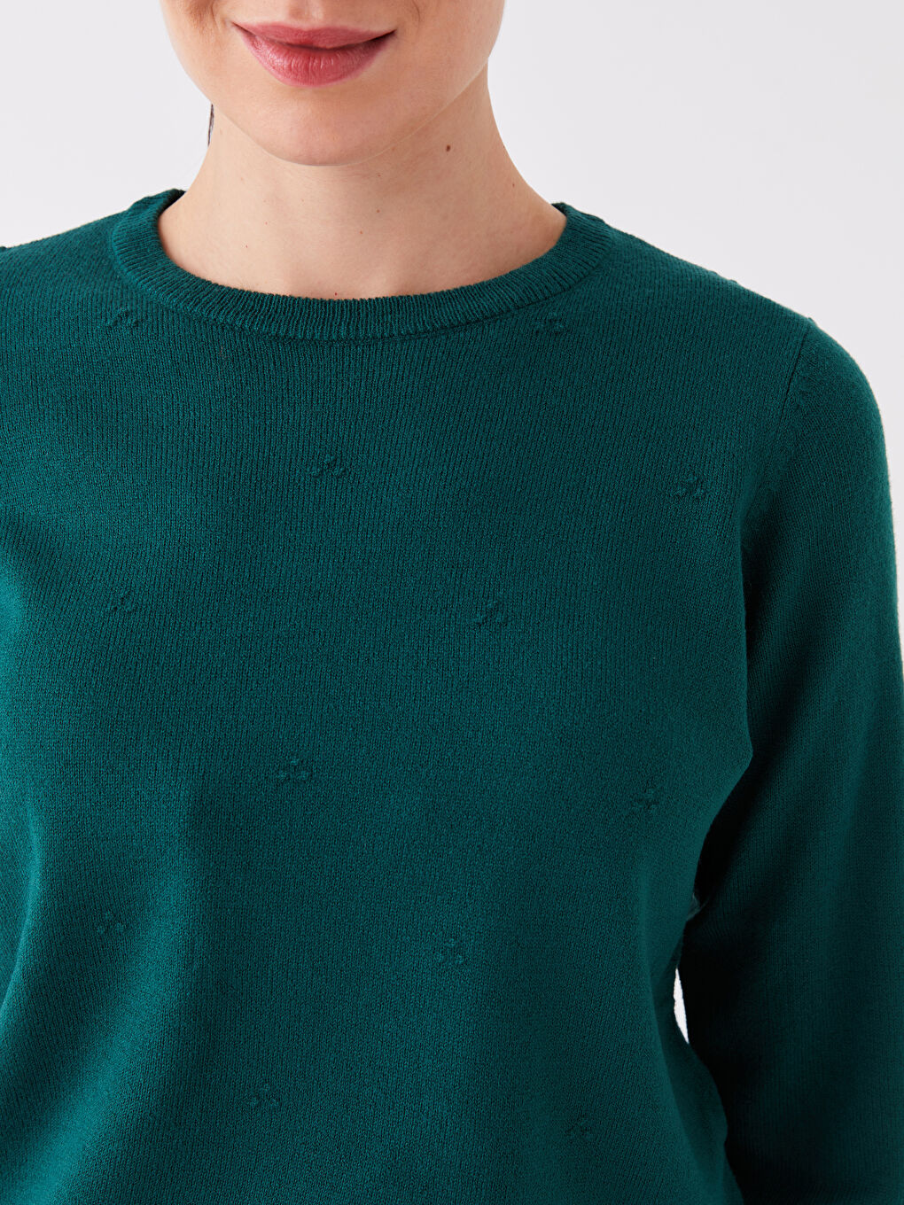 LCW Grace Crew Neck Plain Long Sleeve Women's Knitwear Sweater -W3FA25Z8-VHW