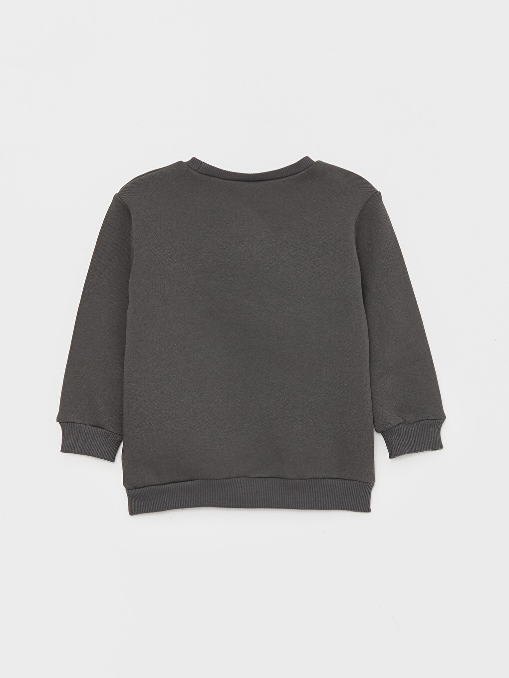 Crew Neck Printed Baby Boy Sweatshirt-1