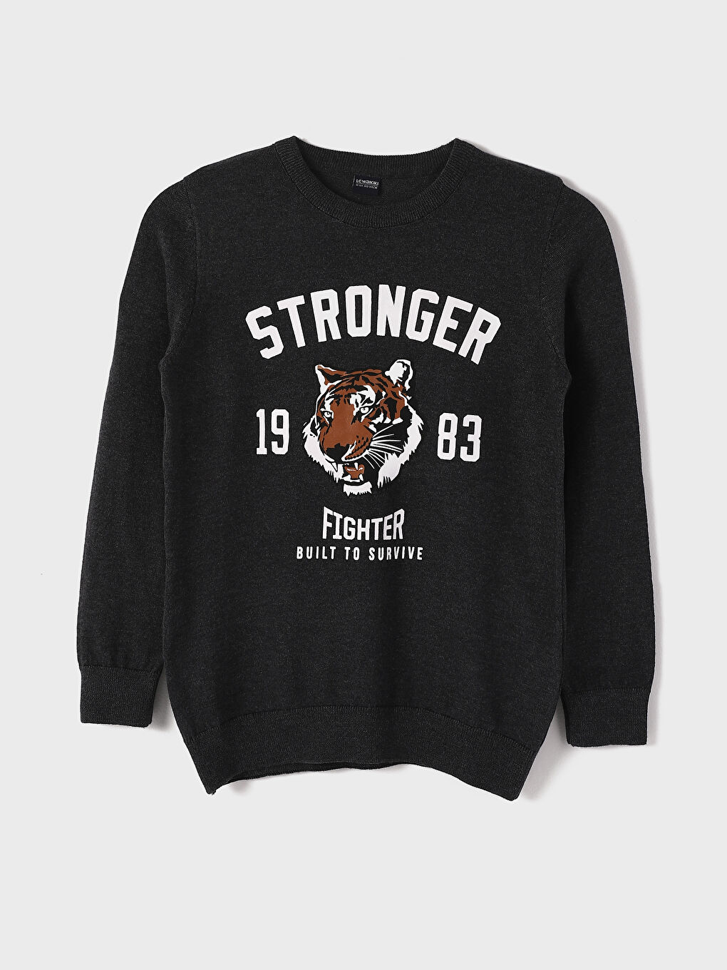 Crew Neck Printed Long Sleeve Boys' Knitwear Sweater