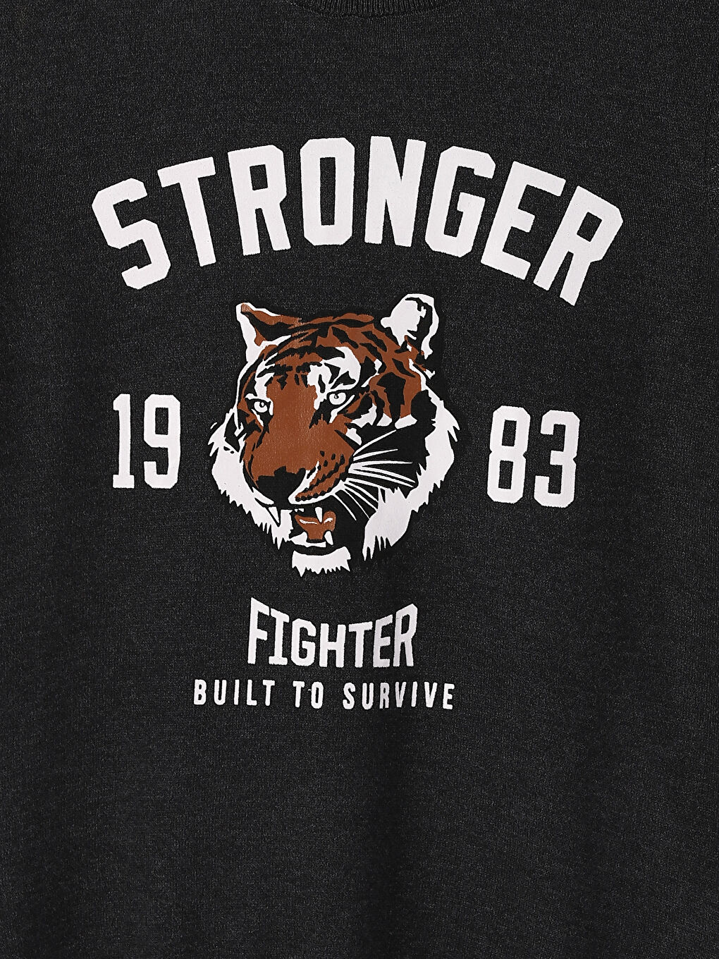 Crew Neck Printed Long Sleeve Boys' Knitwear Sweater-3