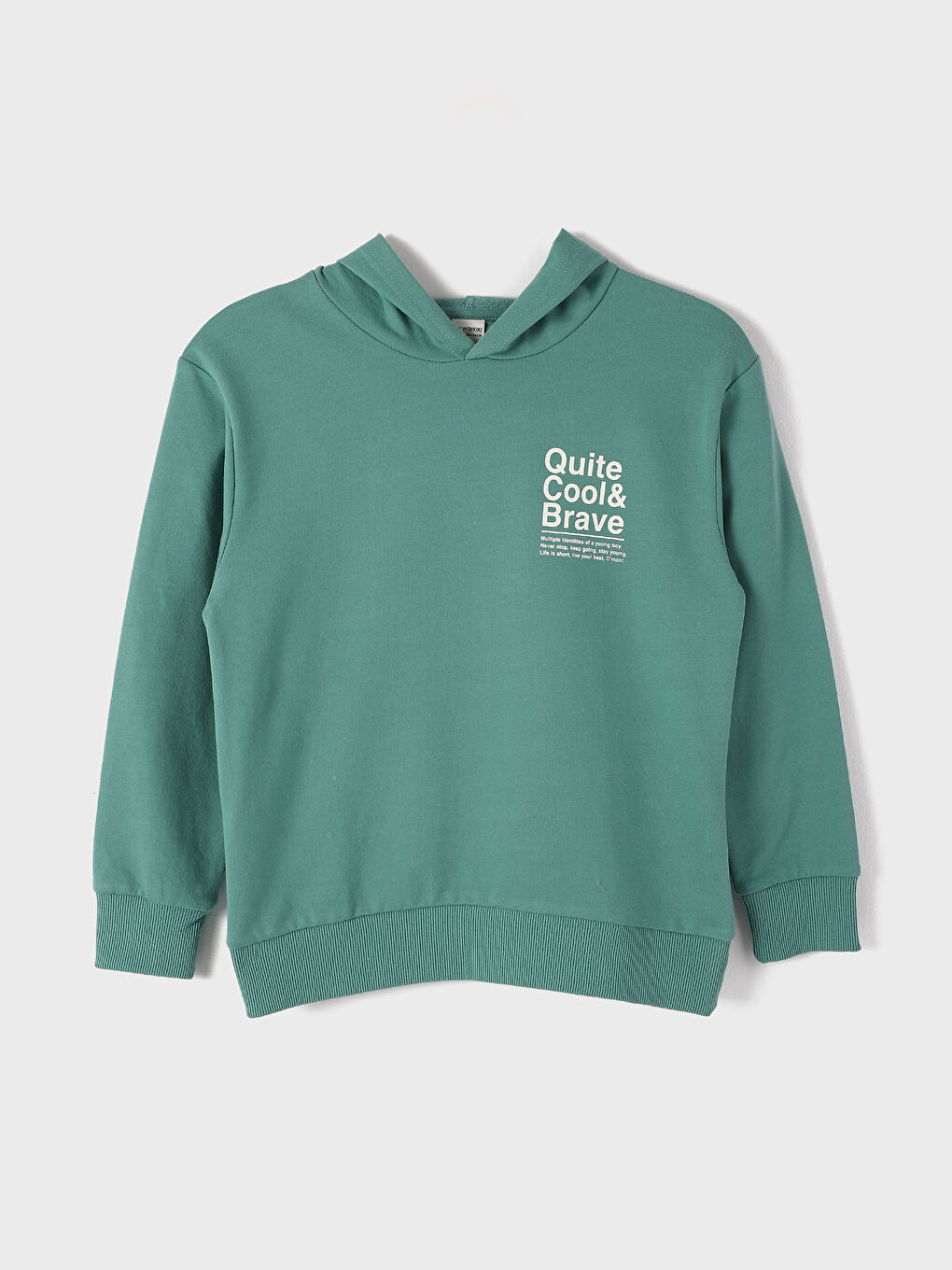 Hooded Printed Long Sleeve Boys' Sweatshirt