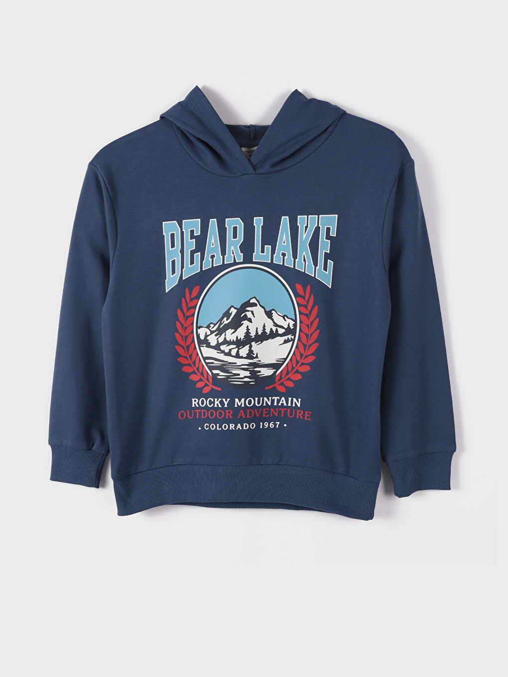 Hooded Printed Boys' Sweatshirt