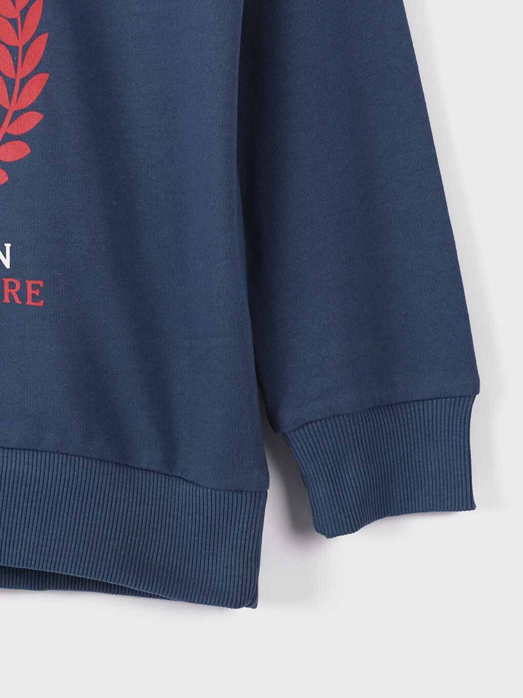 Hooded Printed Boys' Sweatshirt-1