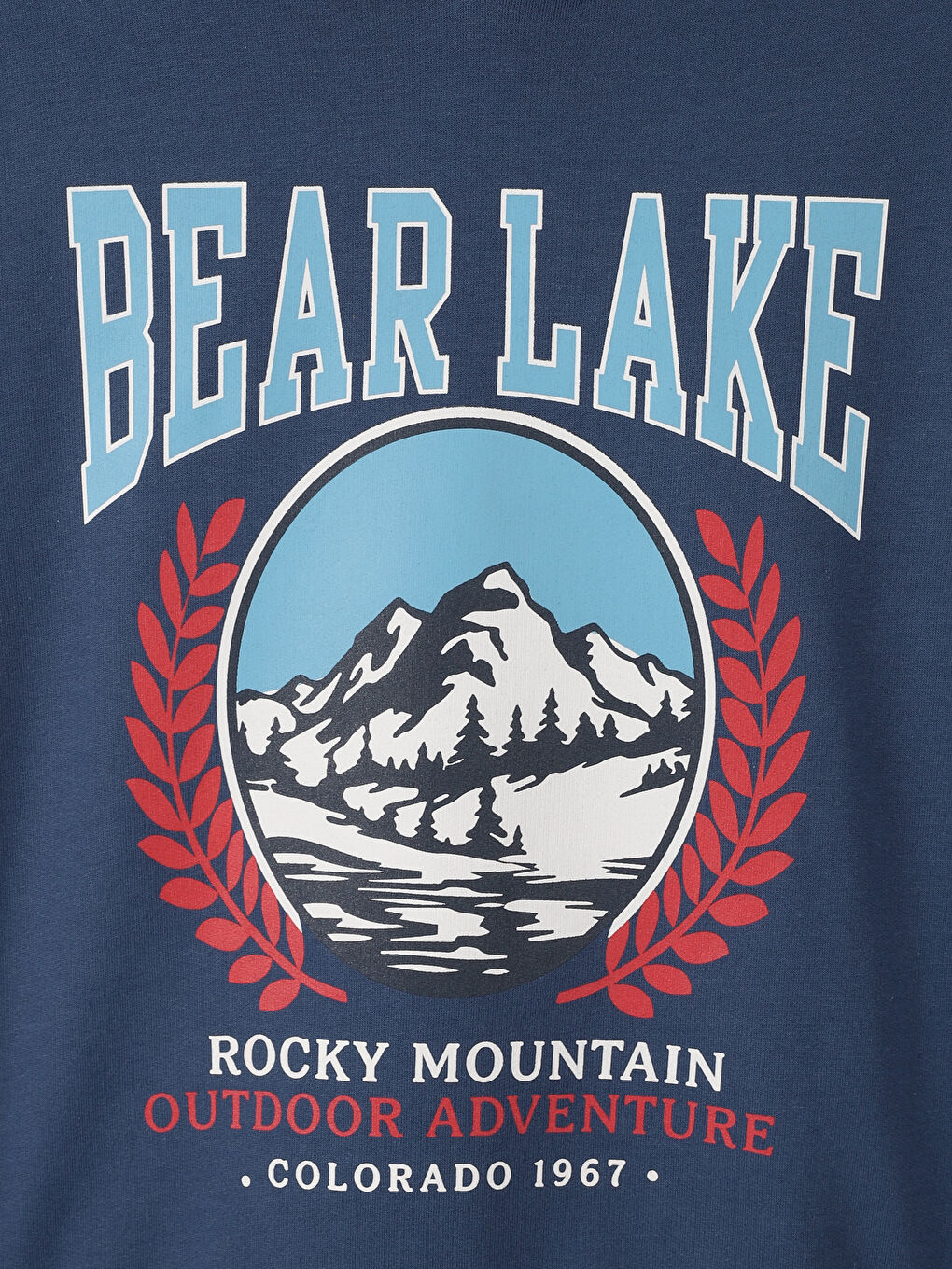 Hooded Printed Boys' Sweatshirt-2