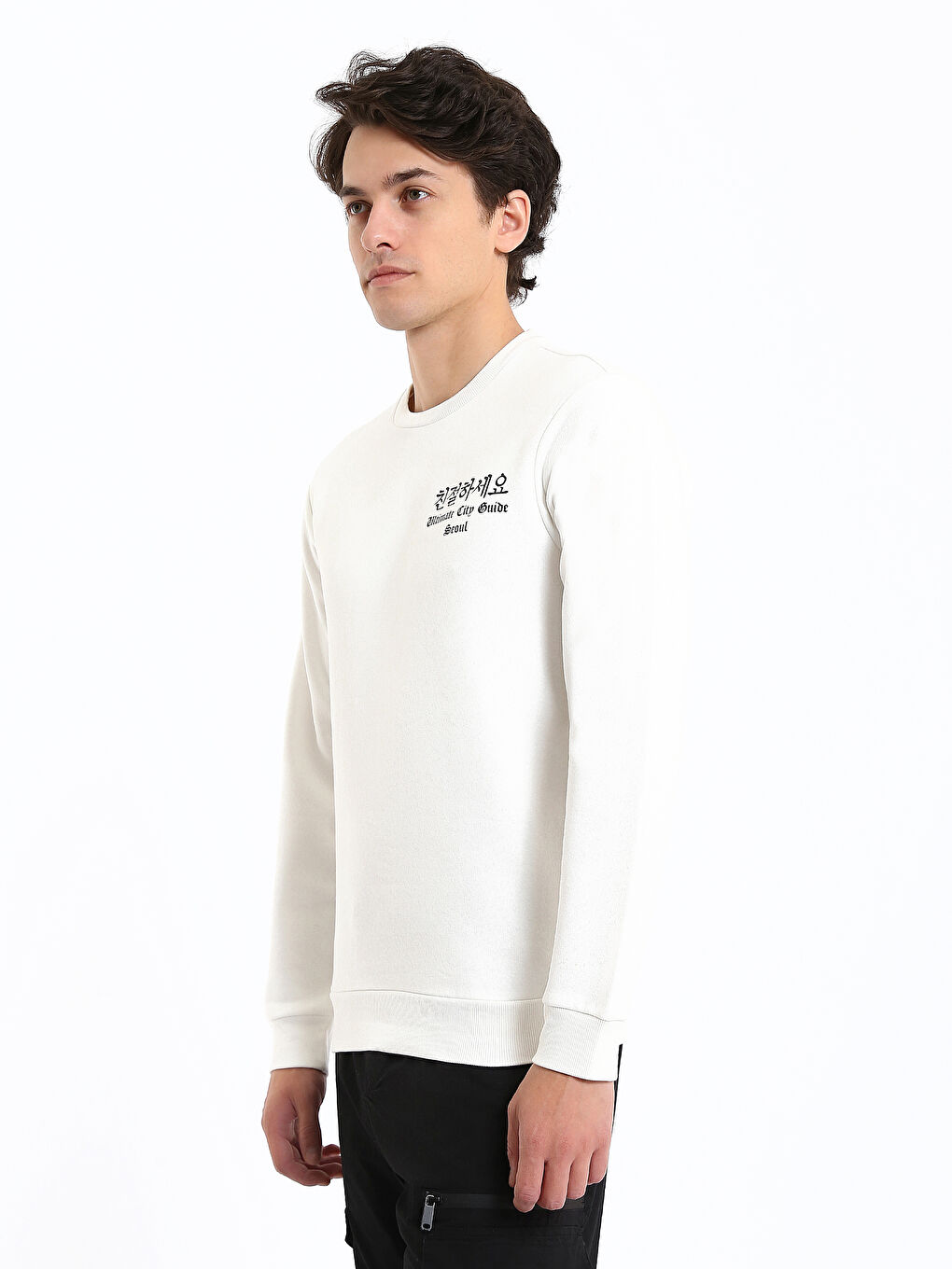 Crew Neck Men's Sweatshirt-3