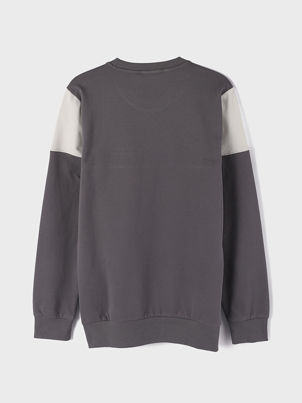 Crew Neck Long Sleeve Printed Men's Sweatshirt-3