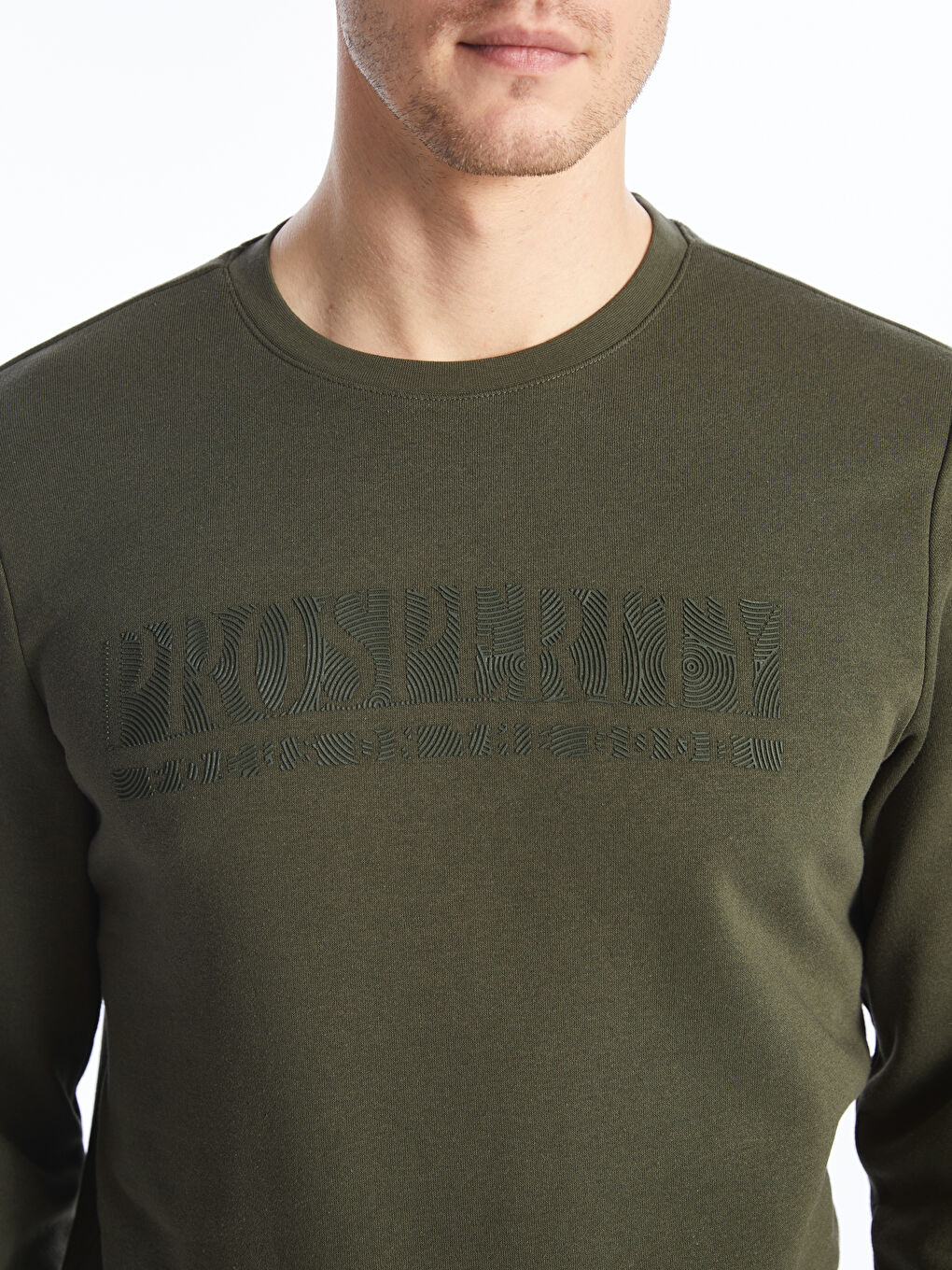 Crew Neck Printed Men's Thick Sweatshirt-3