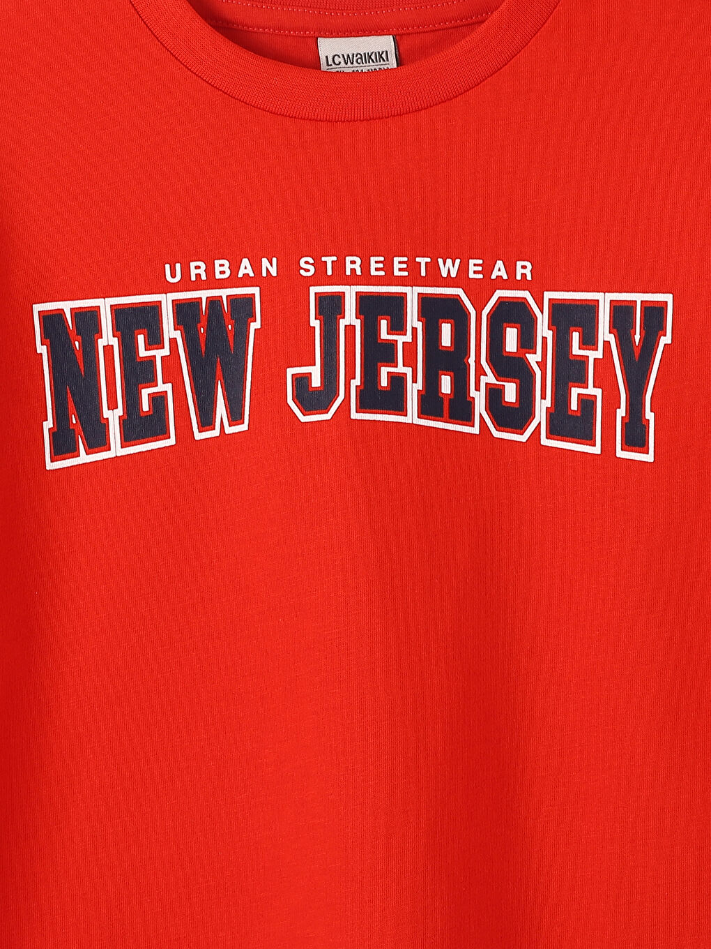 Crew Neck Printed Long Sleeve Boys' T-Shirt-2