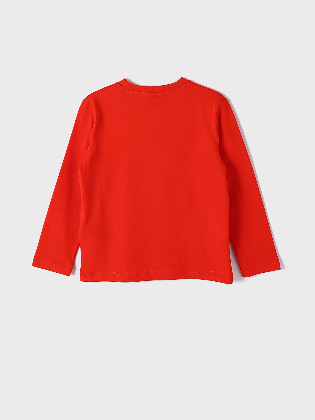 Crew Neck Printed Long Sleeve Boys' T-Shirt-1