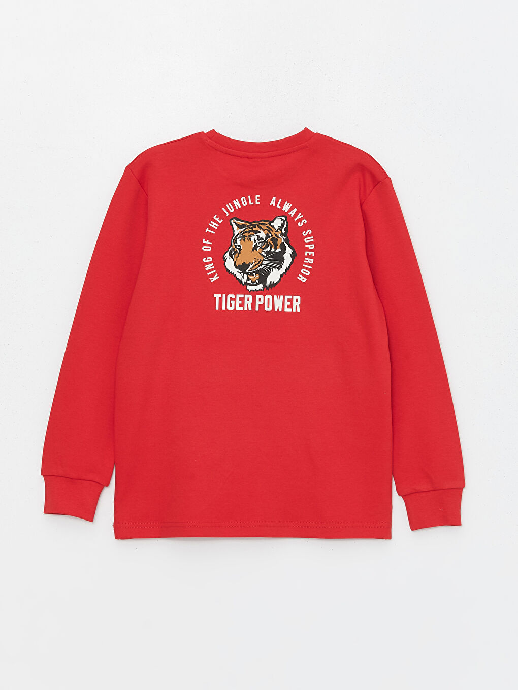 Crew Neck Printed Long Sleeve Boys' T-Shirt-1