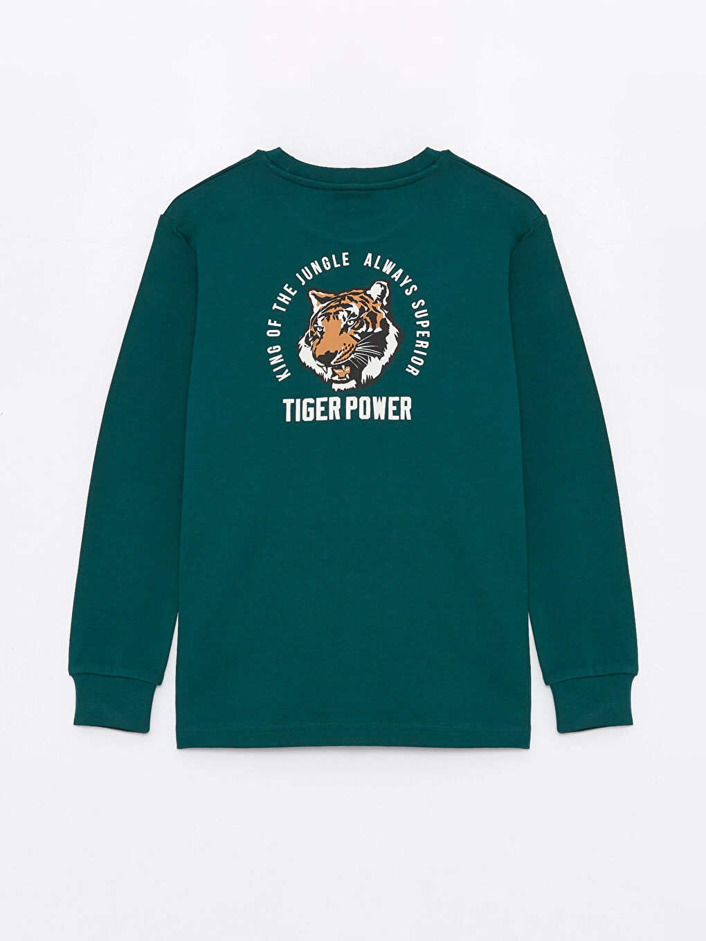 Crew Neck Printed Long Sleeve Boys' T-Shirt-1