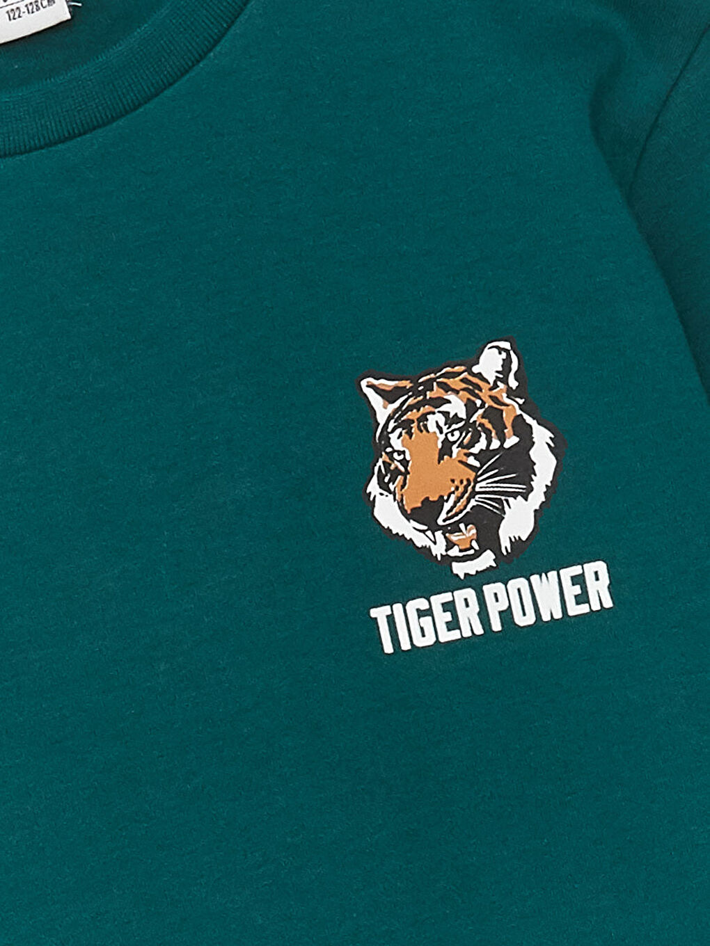 Crew Neck Printed Long Sleeve Boys' T-Shirt-2