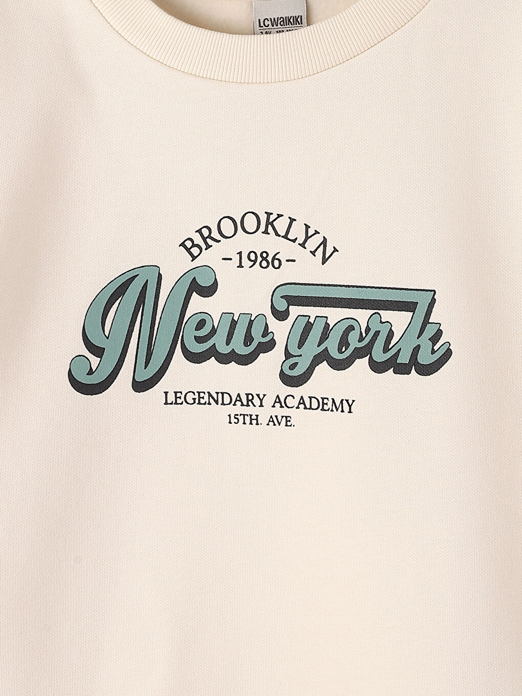 Crew Neck Long Sleeve Printed Girls' Sweatshirt-2