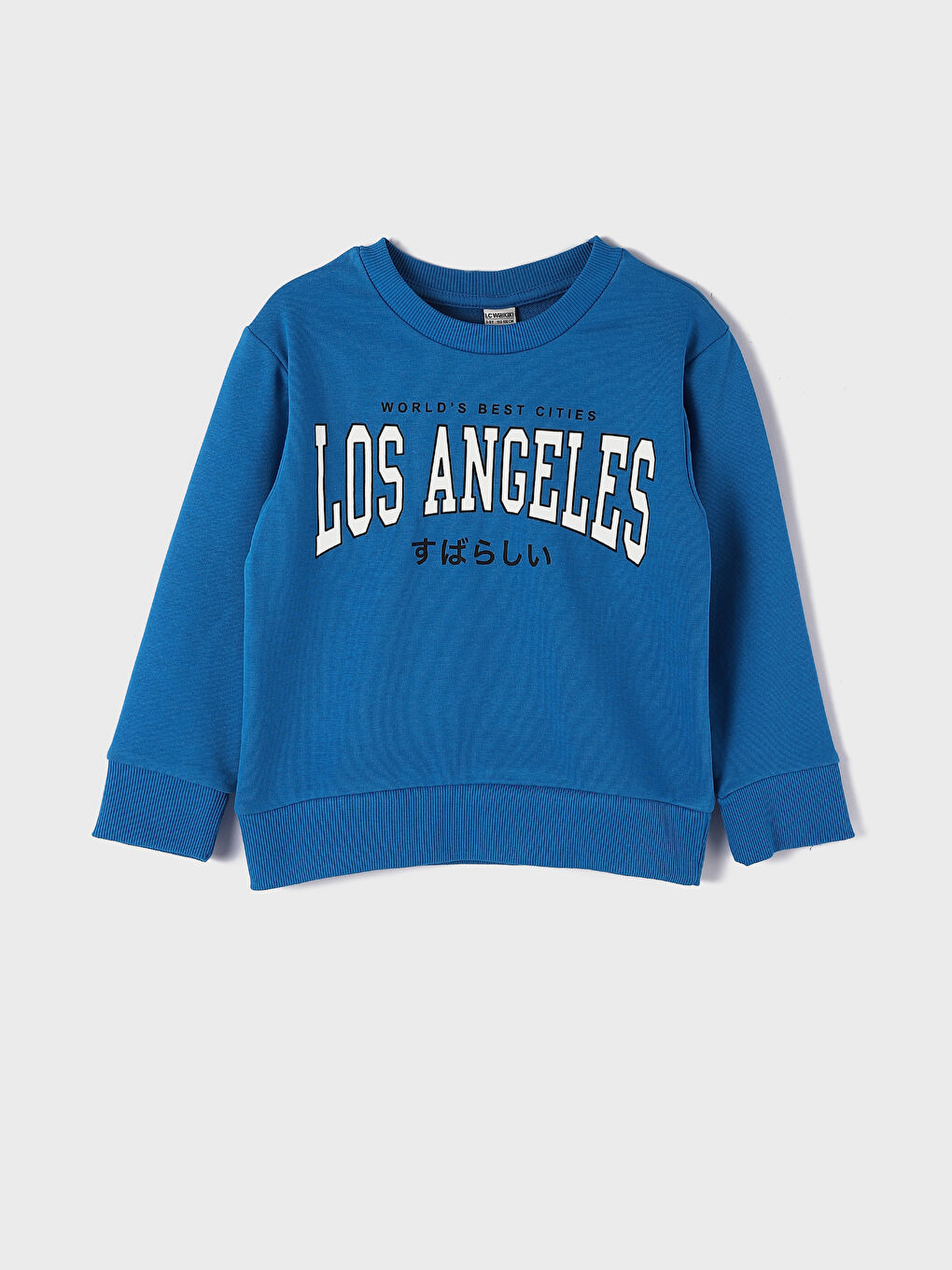 Crew Neck Printed Long Sleeve Boys' Sweatshirt -W3G927Z4-H9U